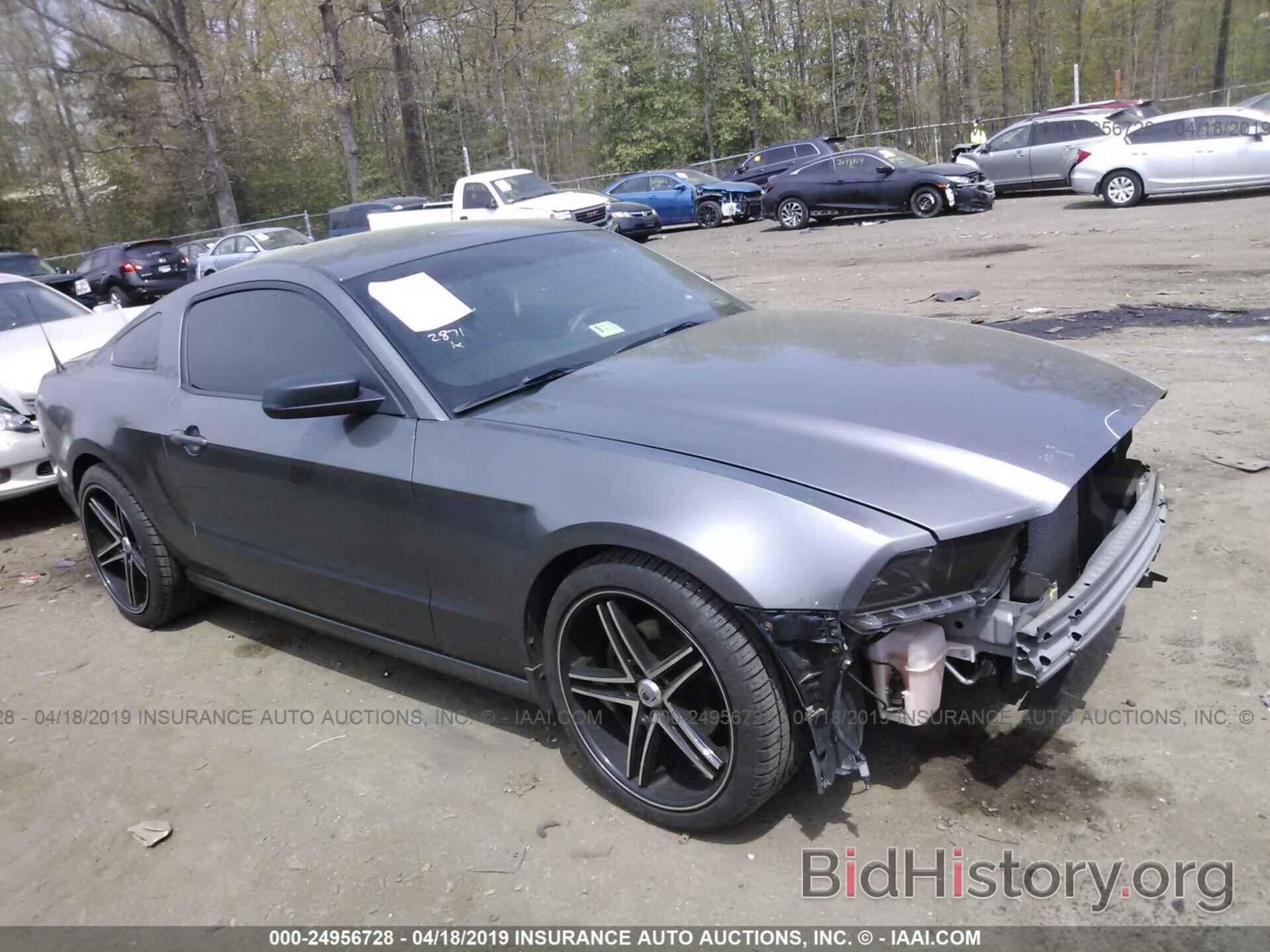 Photo 1ZVBP8AM0E5311178 - FORD MUSTANG 2014