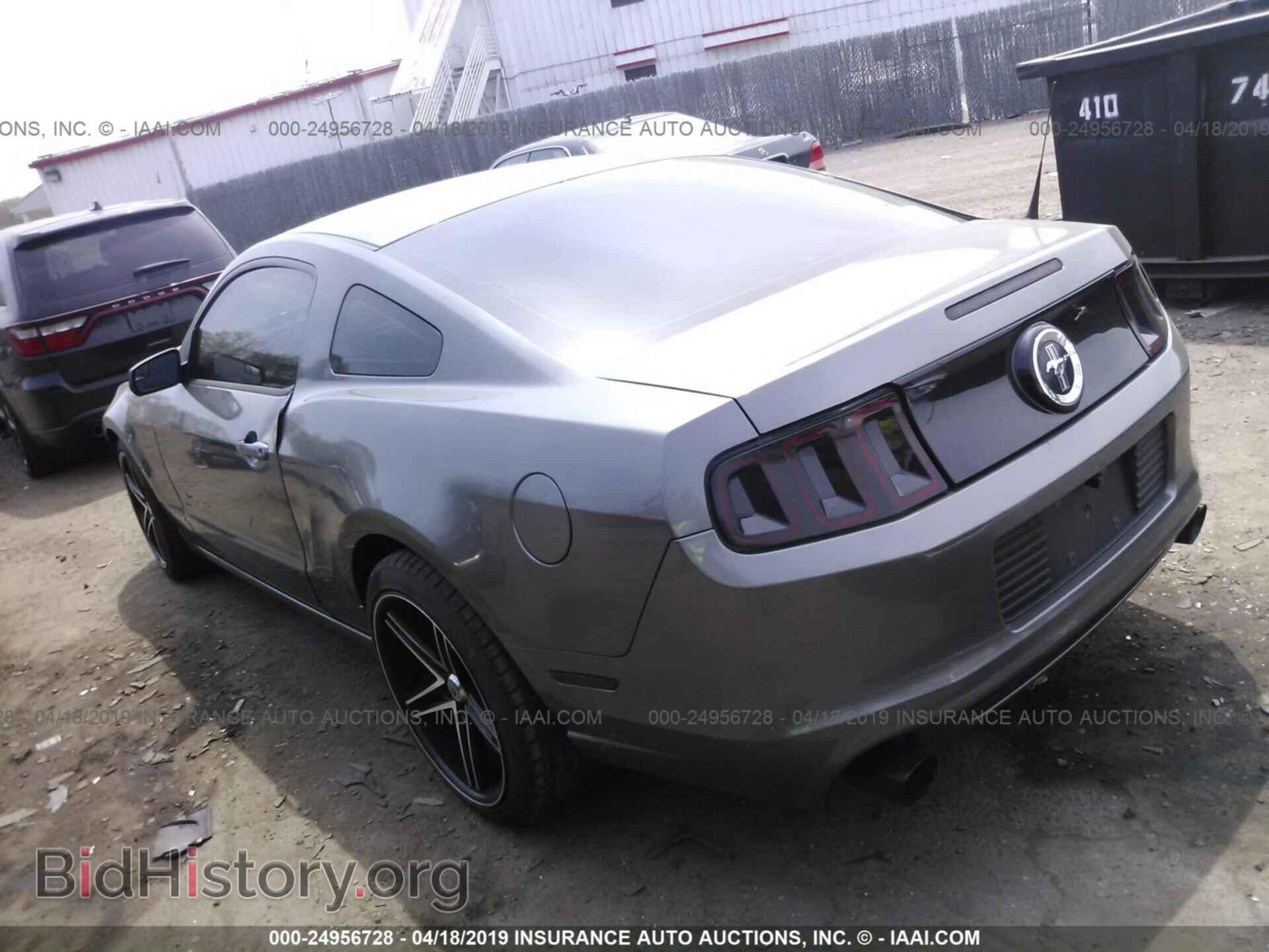 2014 FORD MUSTANG - VIN: 1ZVBP8AM0E5311178 - Фото 3