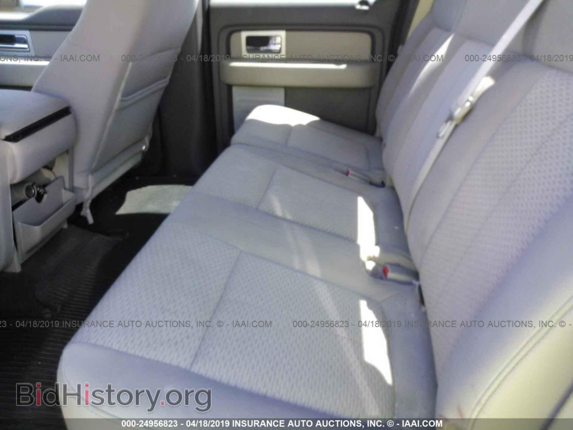 2010 FORD F150 - VIN: 1FTEW1C82AFA73851 - Фото 8