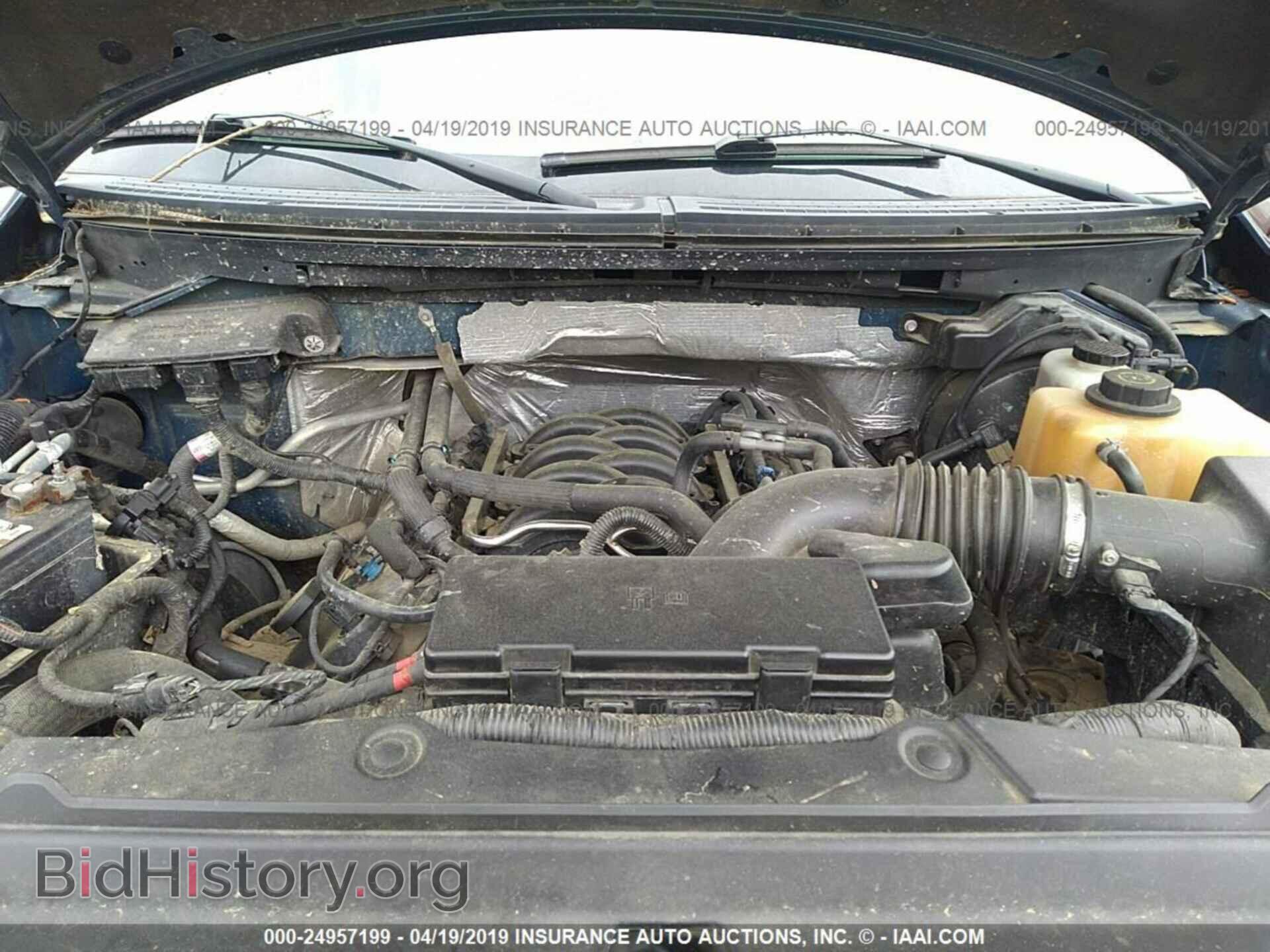 2012 FORD F150 - VIN: 1FTFW1EF1CKD75190 - Фото 10