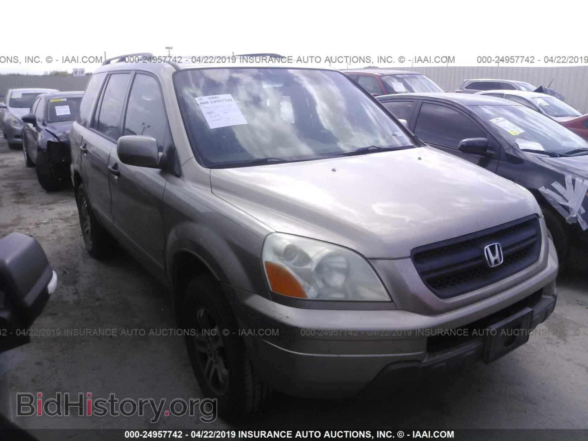 Photo 5FNYF18575B040611 - HONDA PILOT 2005