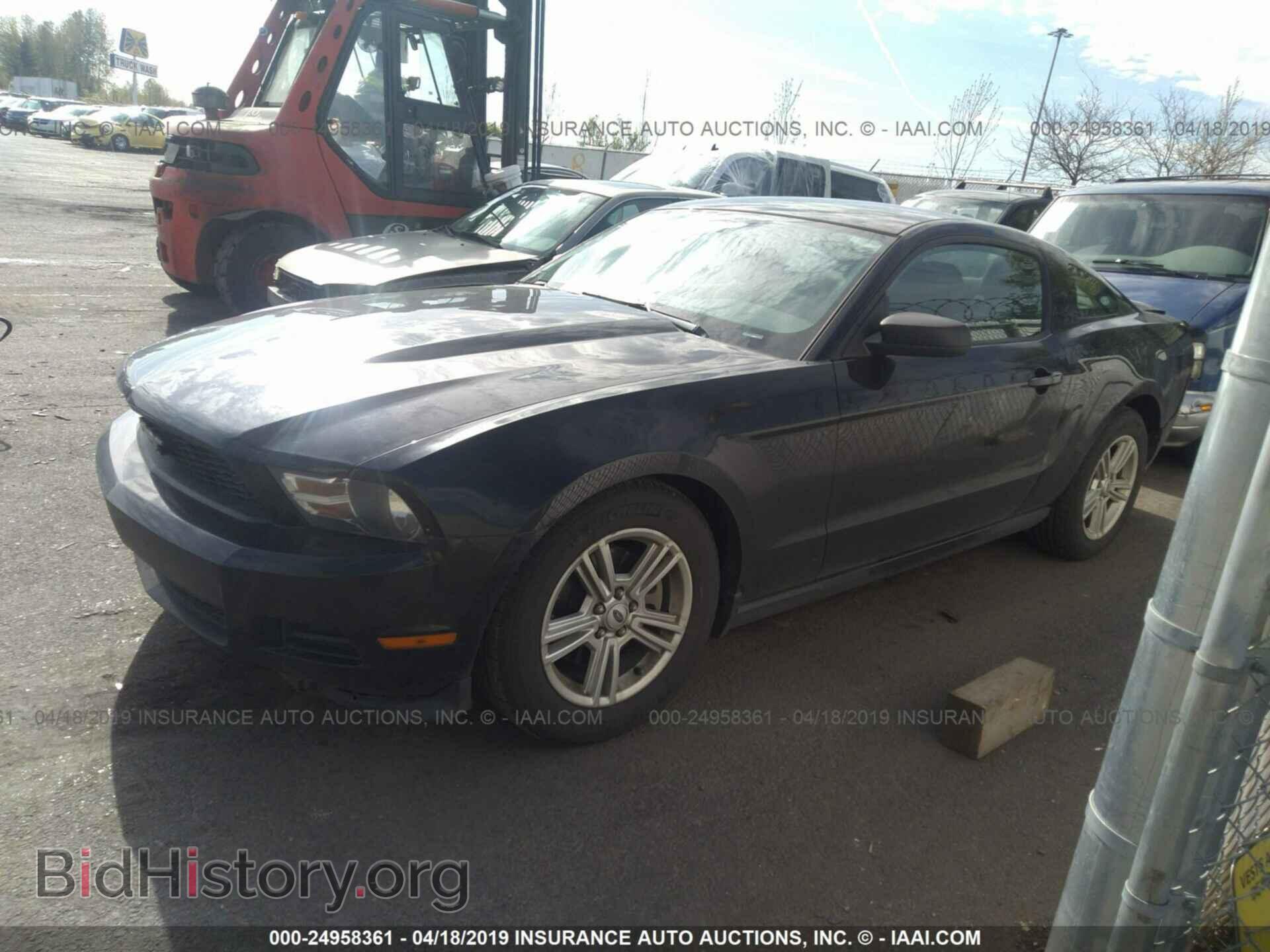 2012 FORD MUSTANG - VIN: 1ZVBP8AM2C5207255 - Фото 2