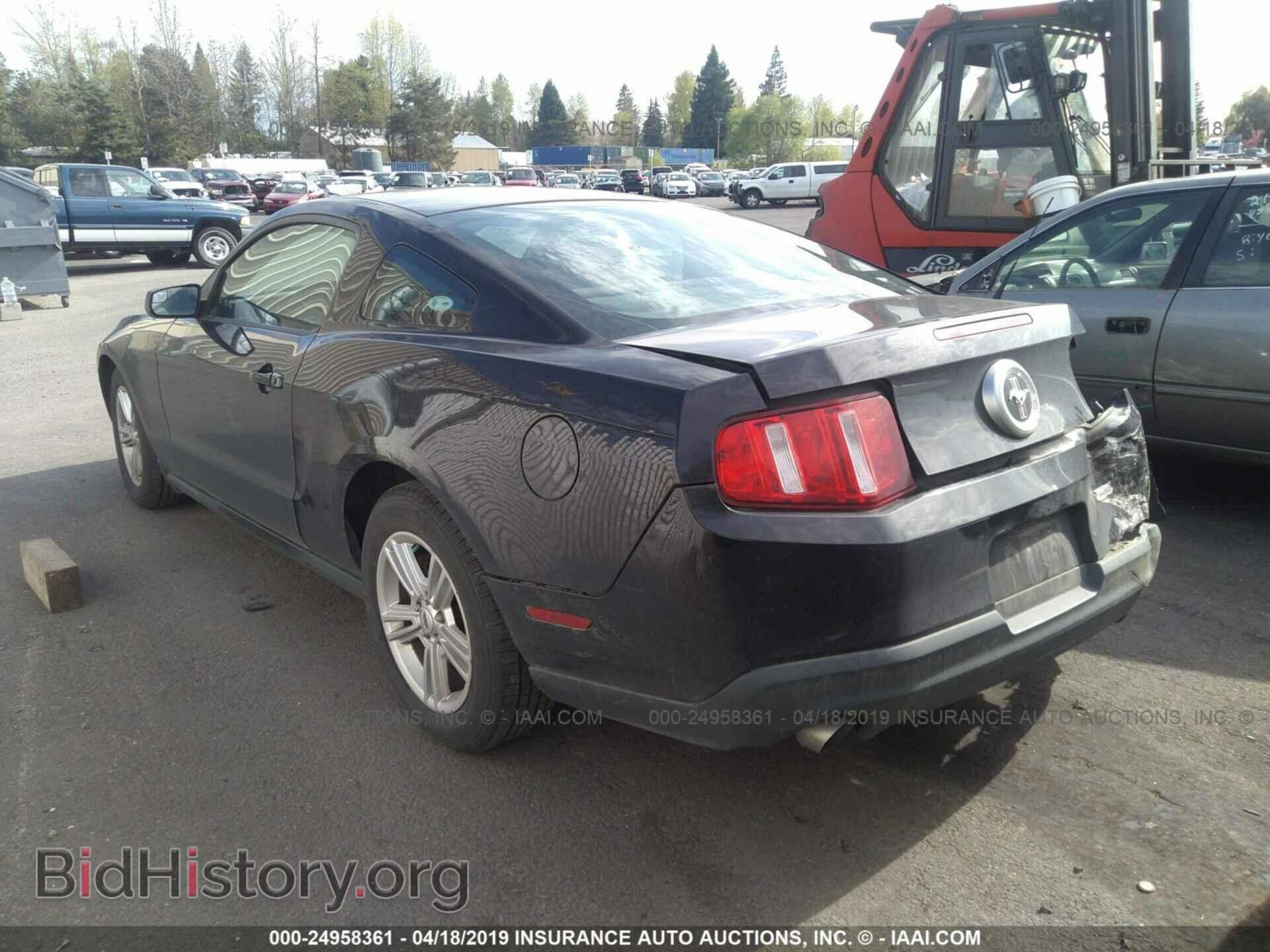 2012 FORD MUSTANG - VIN: 1ZVBP8AM2C5207255 - Фото 3