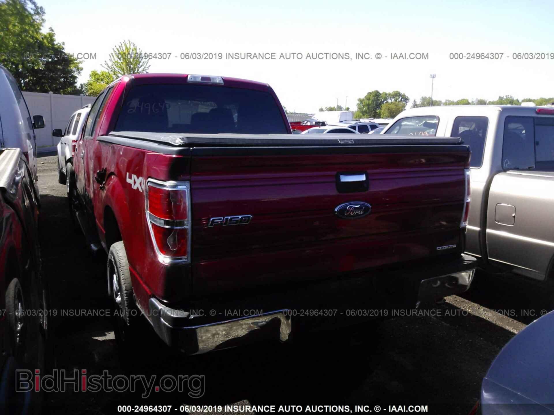 2011 FORD F150 - VIN: 1FTEX1EM9BFD25832 - Фото 3