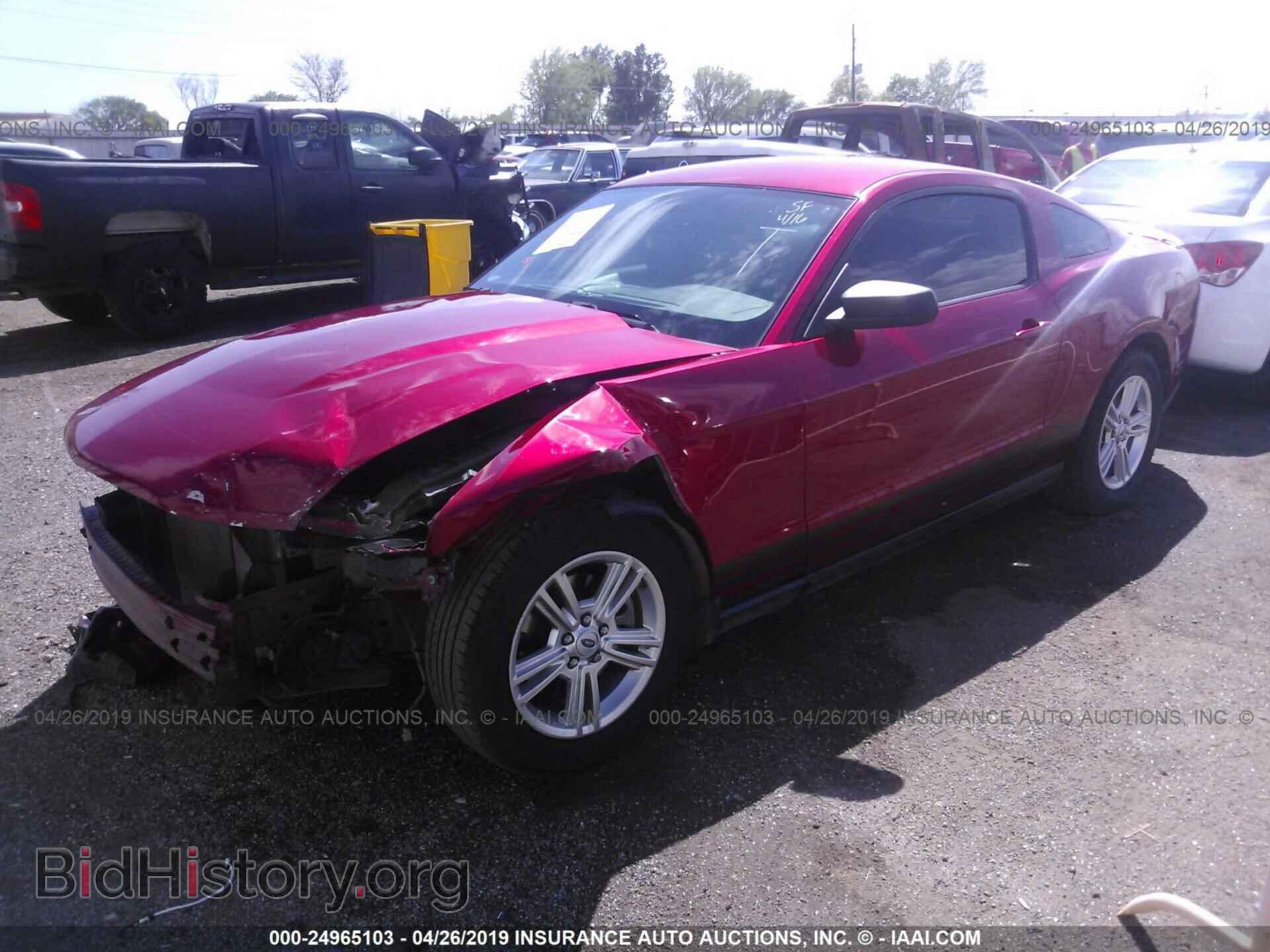 2011 FORD MUSTANG - VIN: 1ZVBP8AM8B5125478 - Фото 2