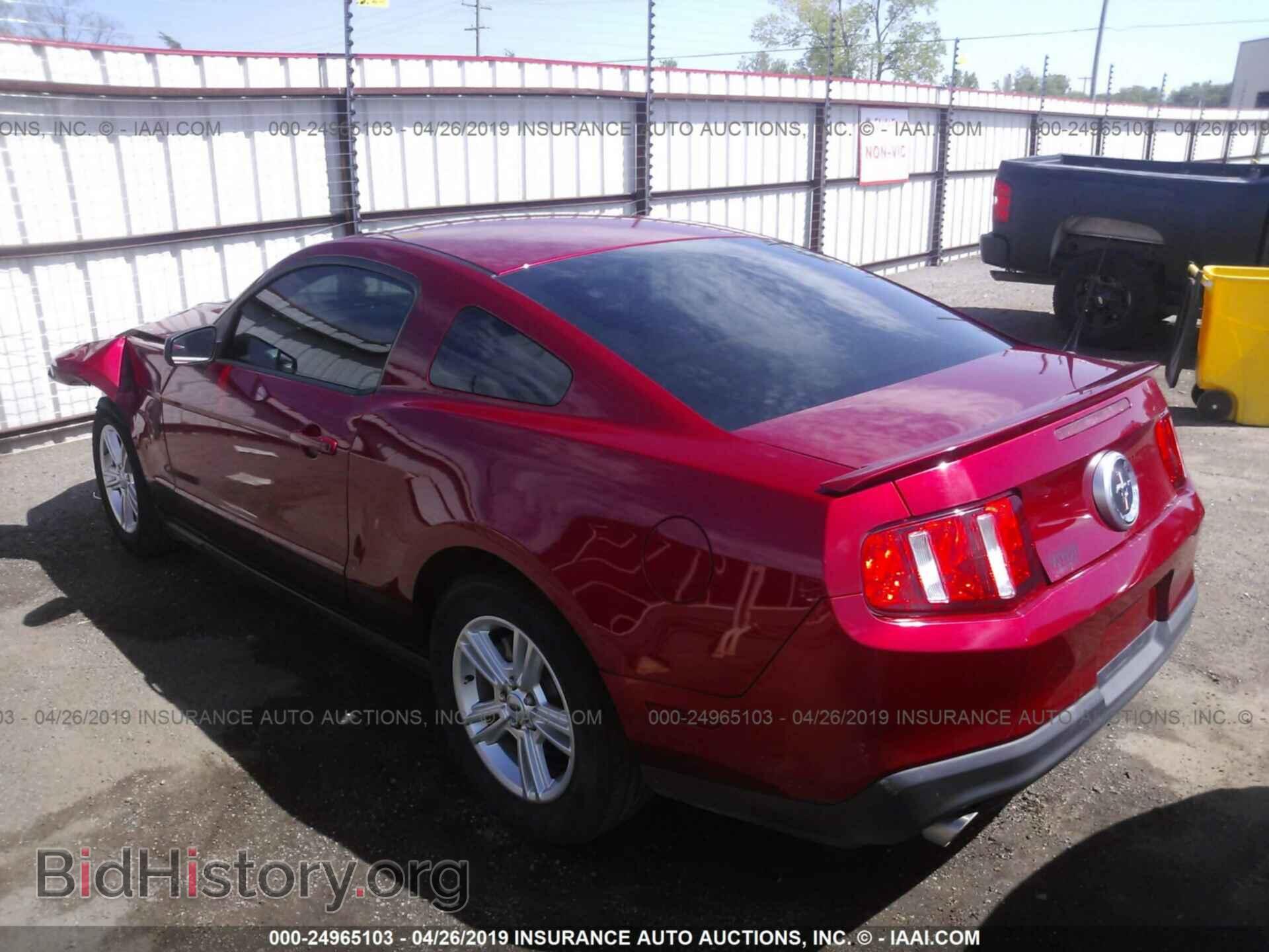2011 FORD MUSTANG - VIN: 1ZVBP8AM8B5125478 - Фото 3