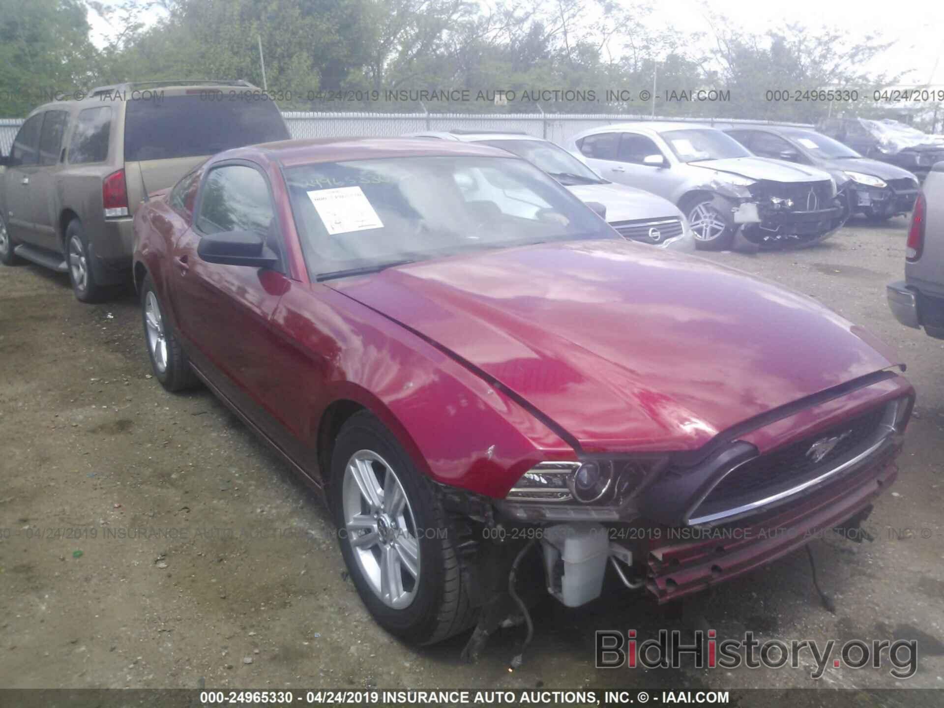 Photo 1ZVBP8AM2D5230925 - FORD MUSTANG 2013