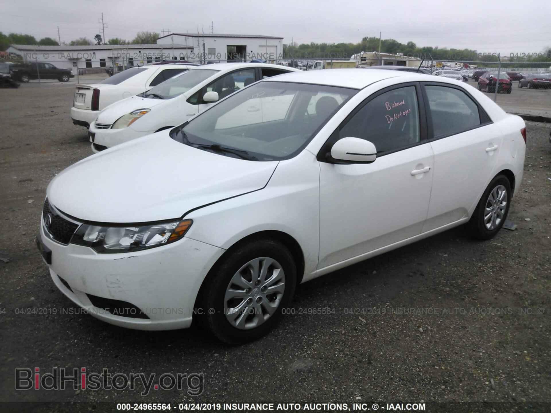 2013 KIA FORTE - VIN: KNAFU4A20D5719597 - Фото 2