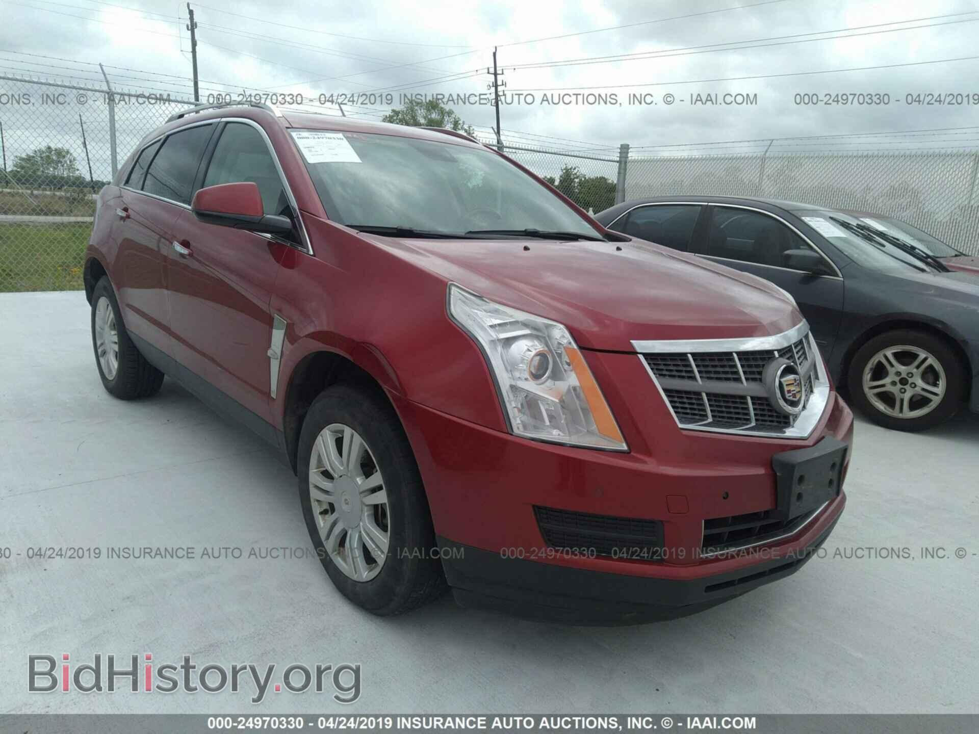 Photo 3GYFNDEY4BS520967 - CADILLAC SRX 2011