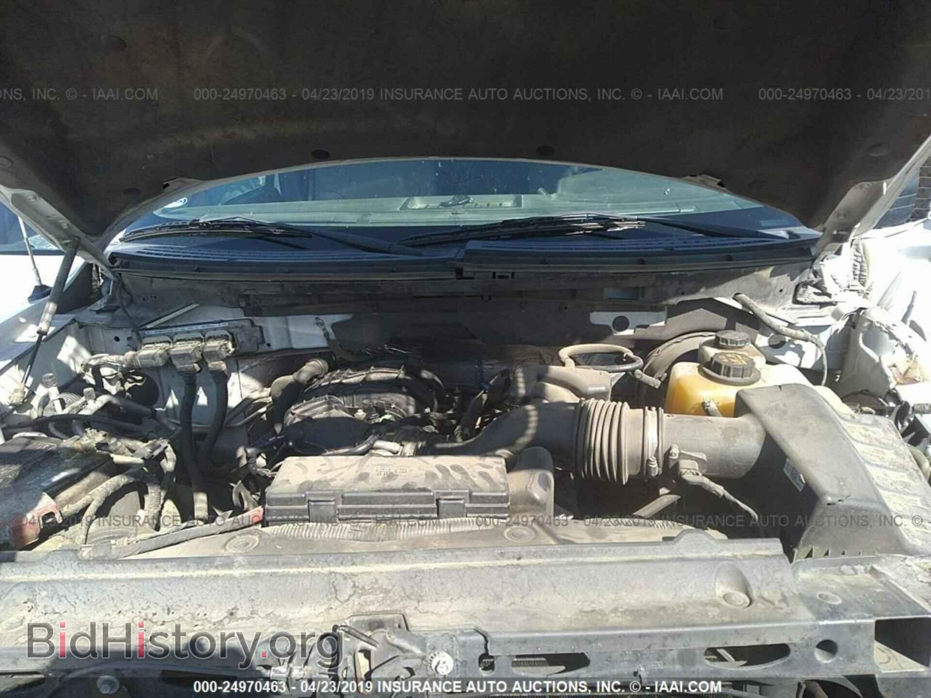 2013 FORD F150 - VIN: 1FTMF1CM5DKF14960 - Фото 10