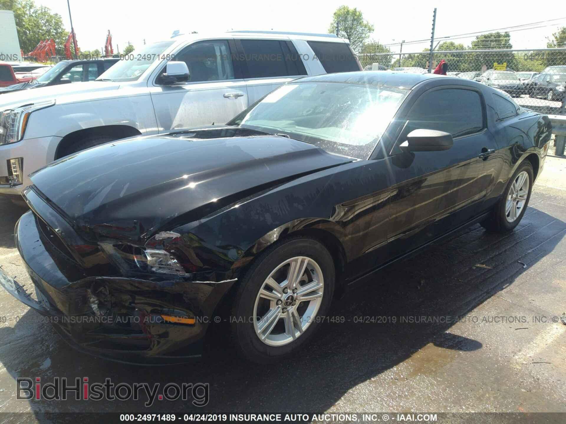 2014 FORD MUSTANG - VIN: 1ZVBP8AMXE5303198 - Фото 2