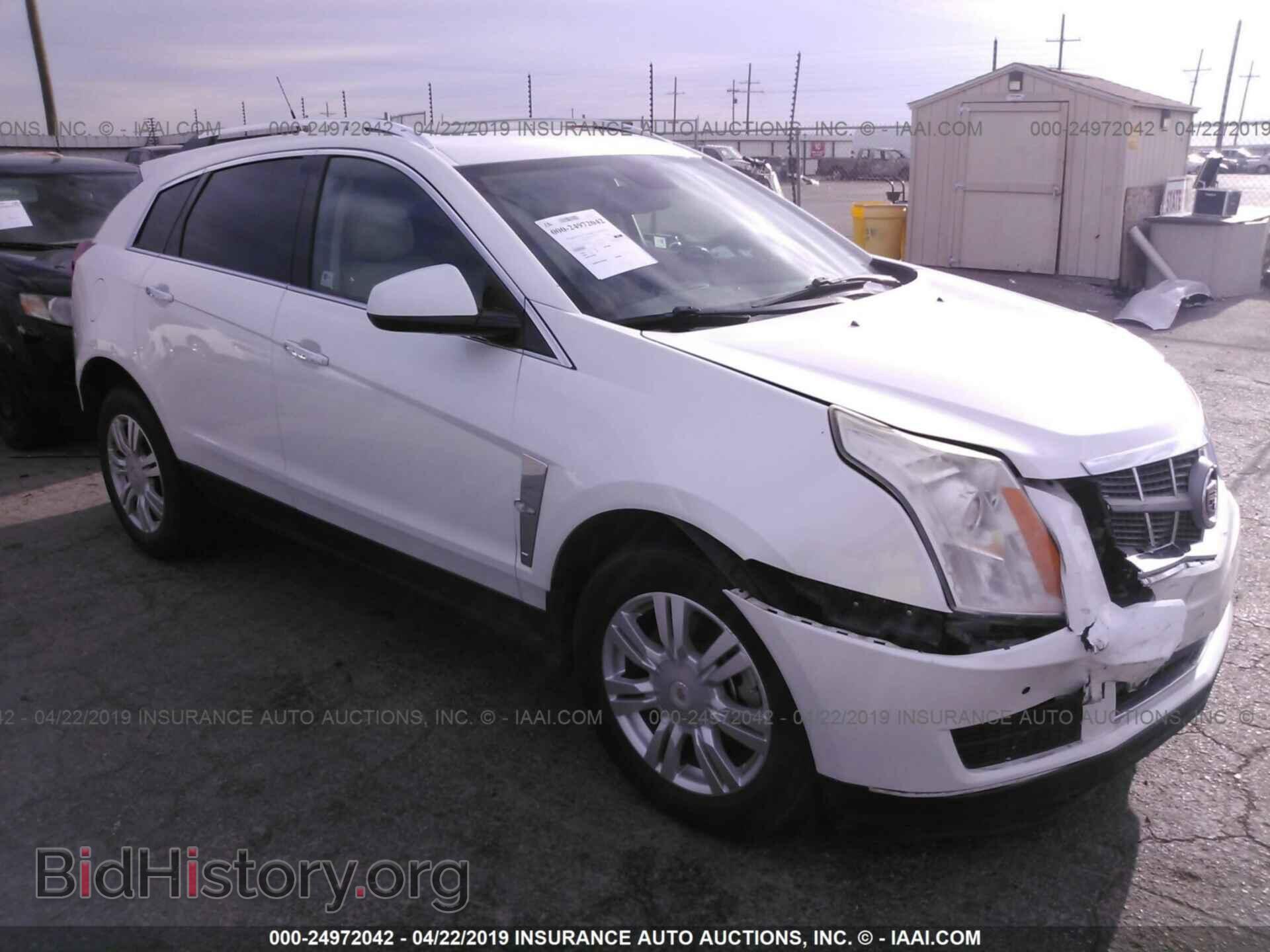Photo 3GYFNAEY0BS513755 - CADILLAC SRX 2011