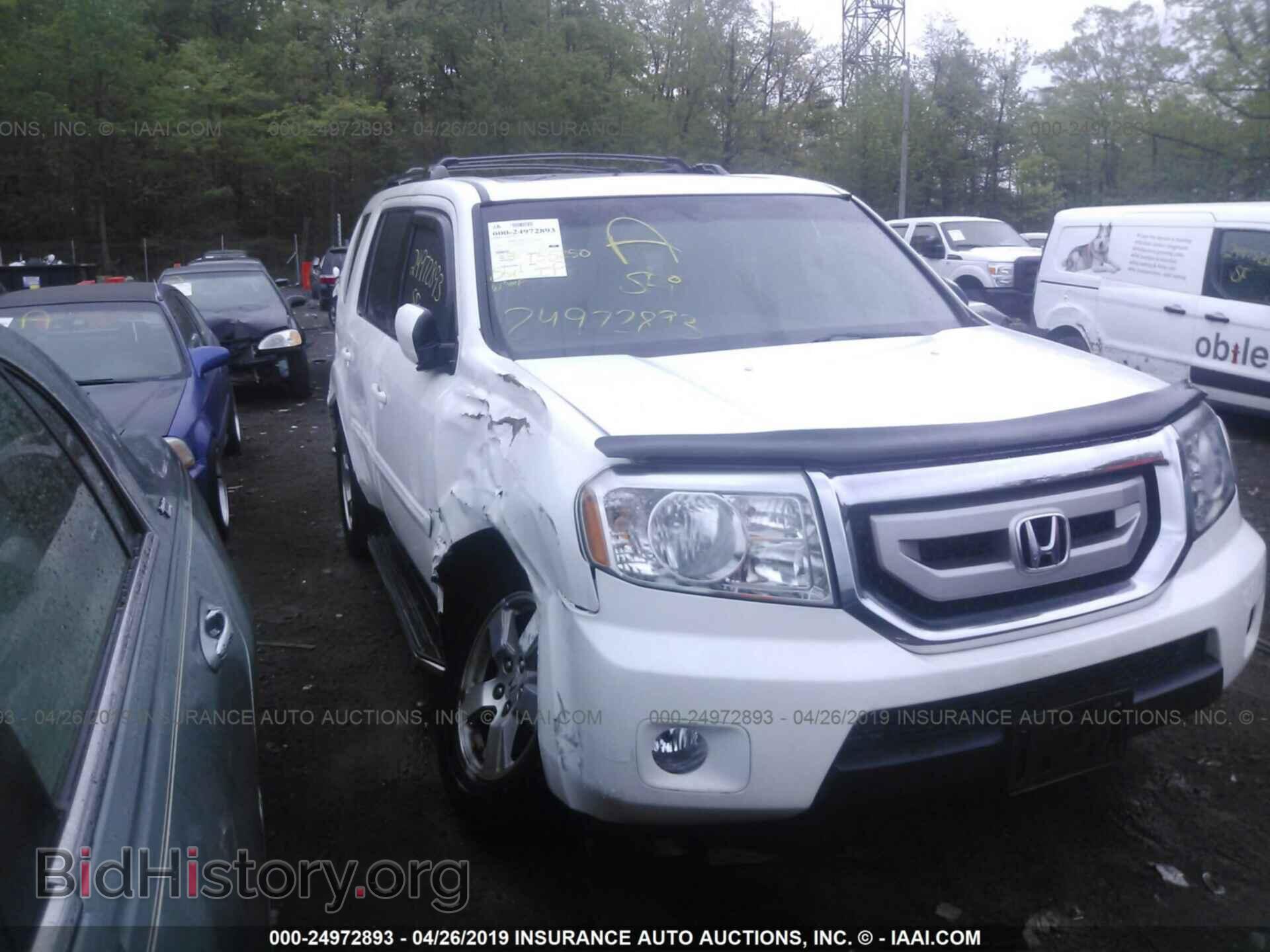 Фотография 5FNYF48569B036122 - HONDA PILOT 2009