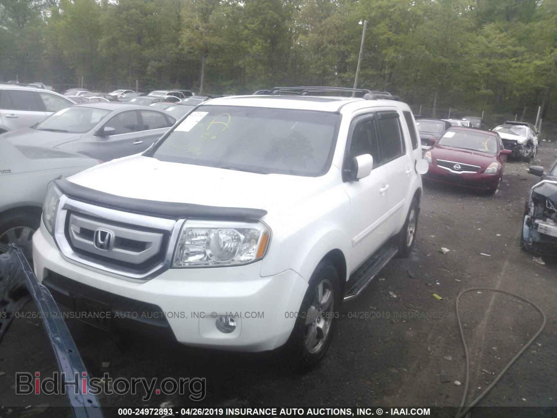 2009 HONDA PILOT - VIN: 5FNYF48569B036122 - Фото 2