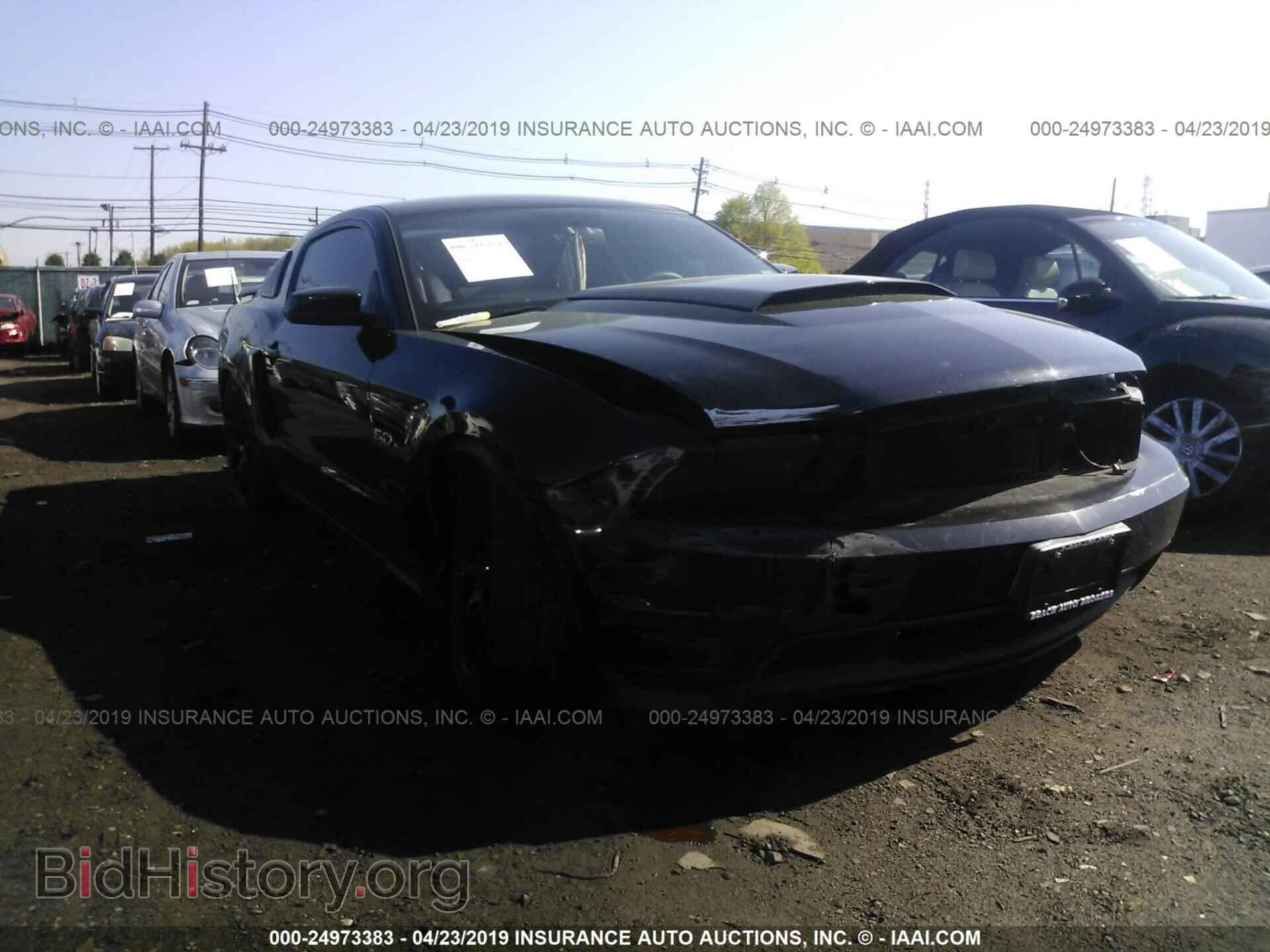 Фотография 1ZVBP8CF6B5114056 - FORD MUSTANG 2011