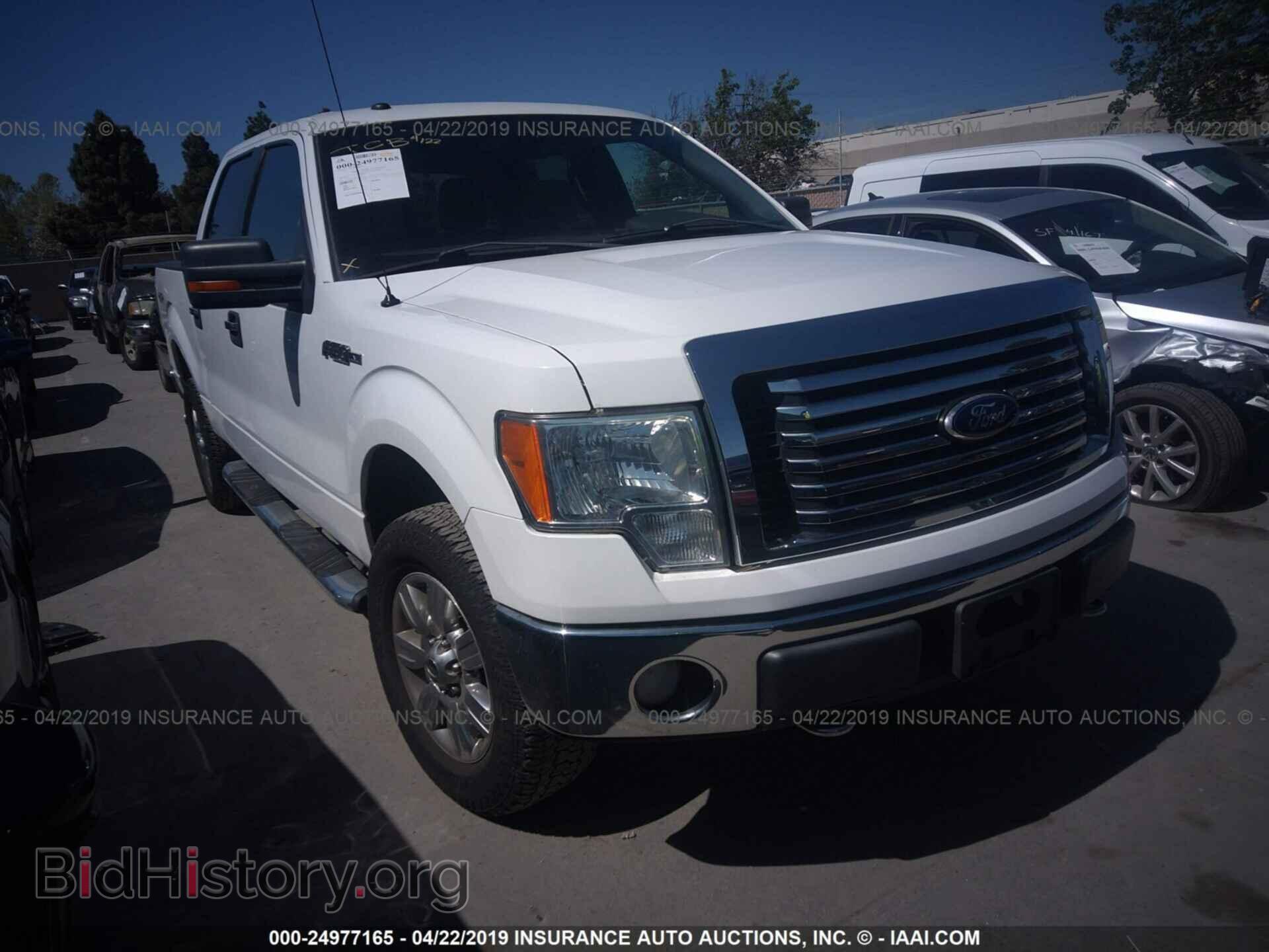 Фотография 1FTEW1E82AFB49811 - FORD F150 2010