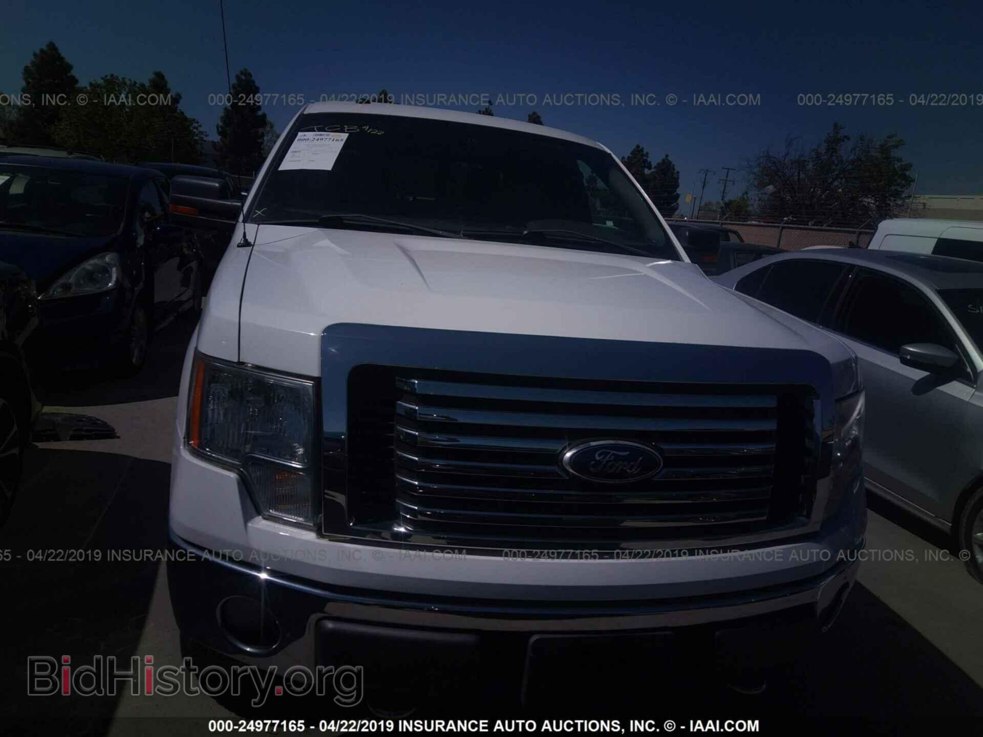 2010 FORD F150 - VIN: 1FTEW1E82AFB49811 - Фото 6