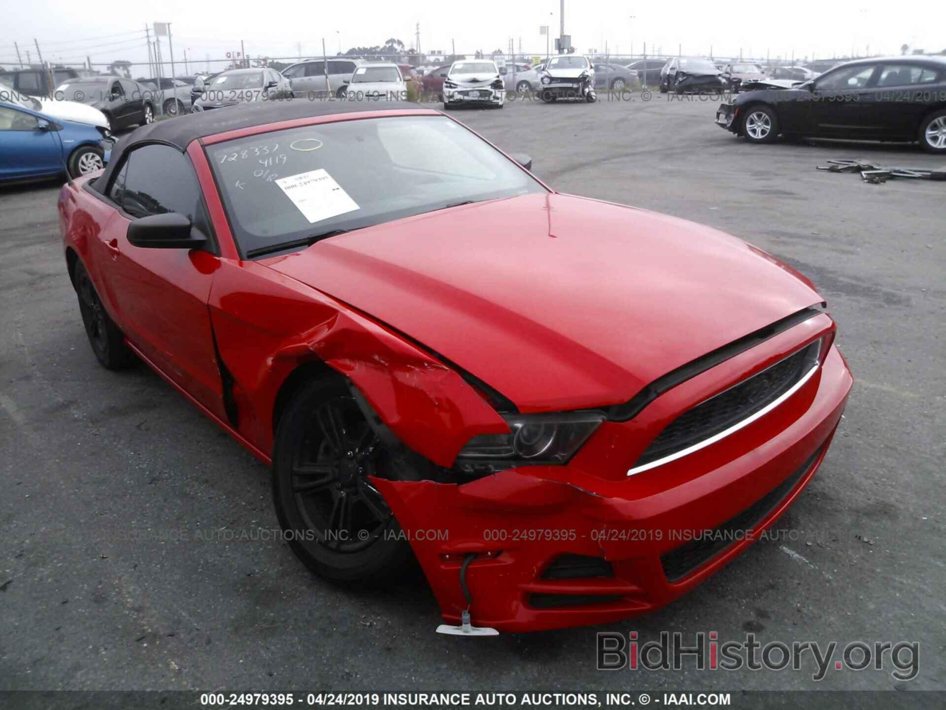 Photo 1ZVBP8EM8D5276088 - FORD MUSTANG 2013