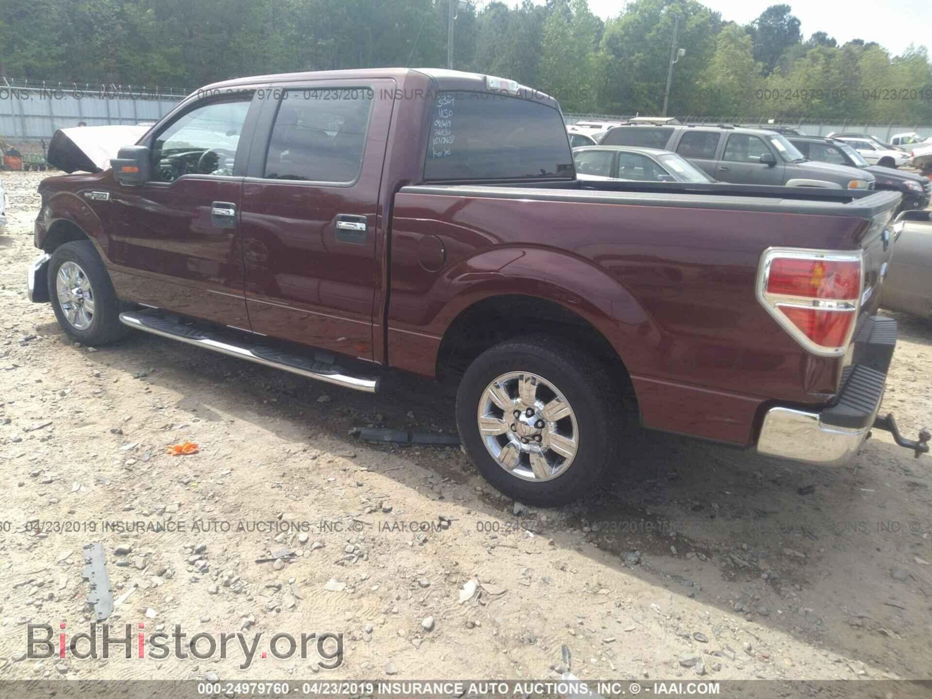 2010 FORD F150 - VIN: 1FTEW1C83AFA12637 - Фото 3