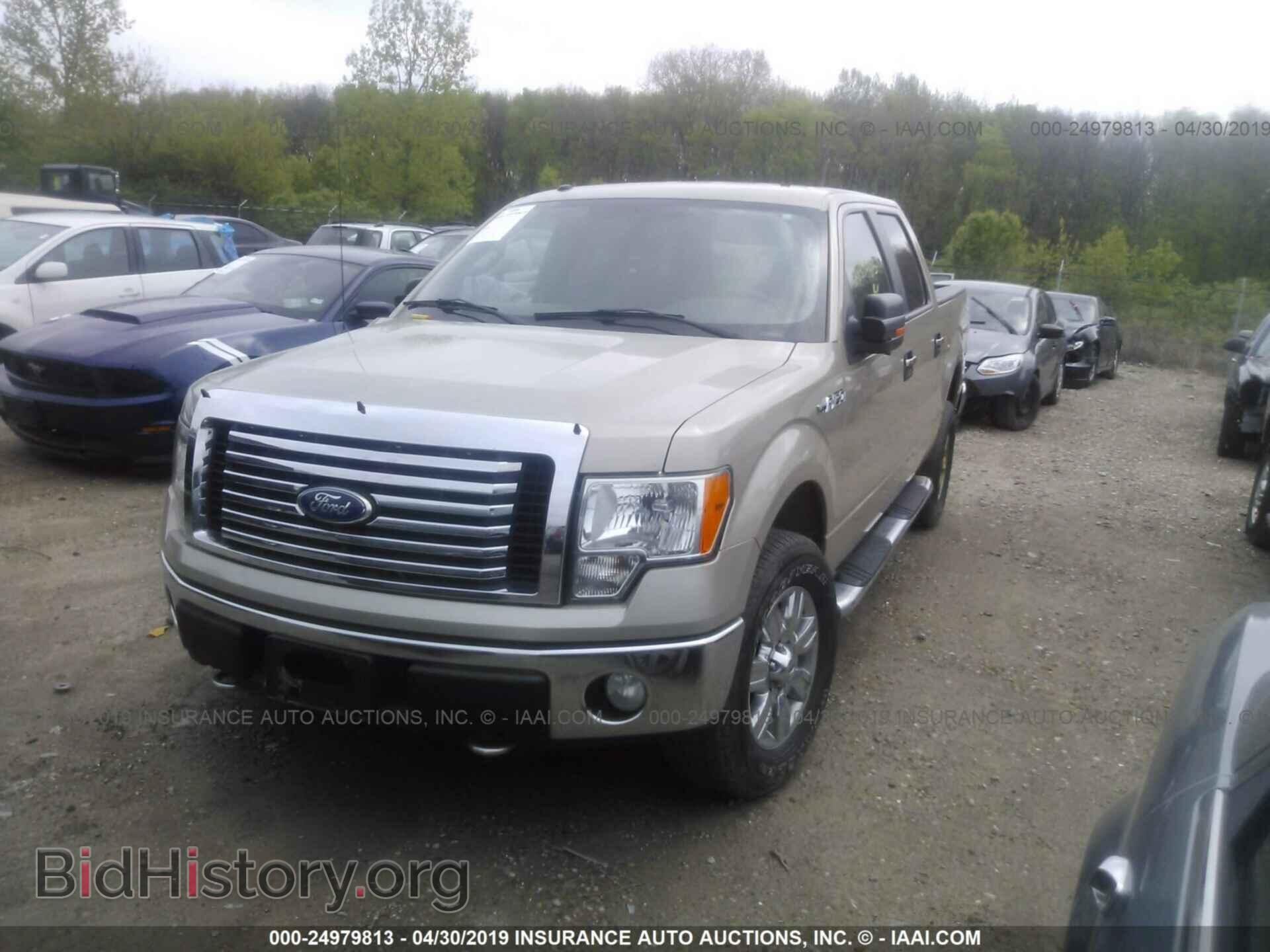 2010 FORD F150 - VIN: 1FTFW1EVXAFB32880 - Фото 2