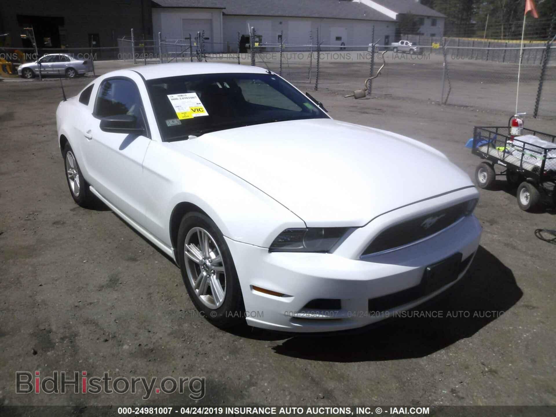 Фотография 1ZVBP8AM3E5313989 - FORD MUSTANG 2014