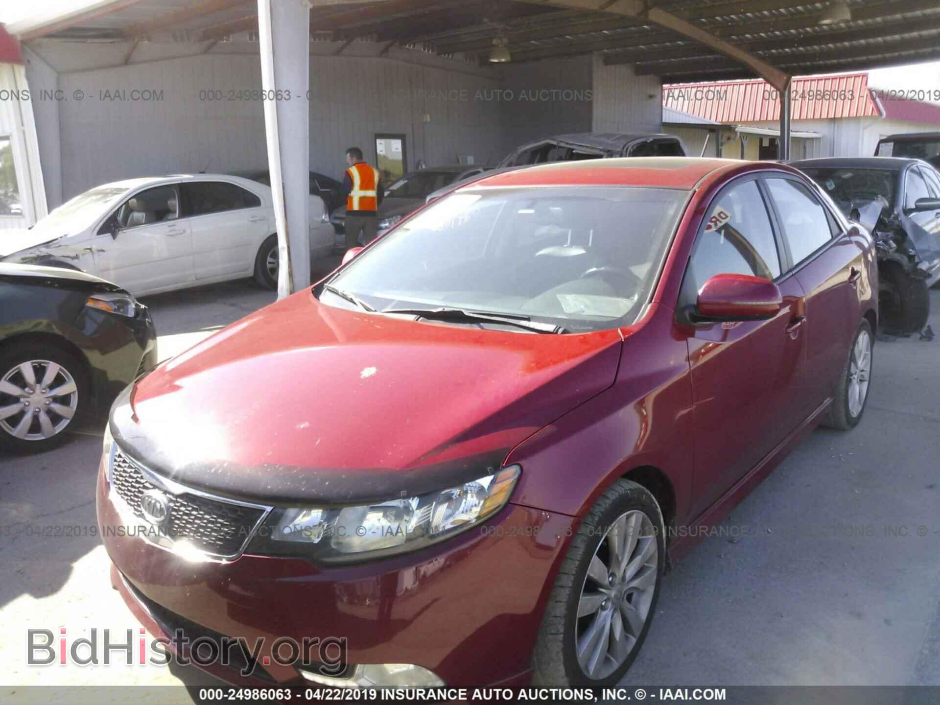 2013 KIA FORTE - VIN: KNAFW4A39D5736871 - Фото 2