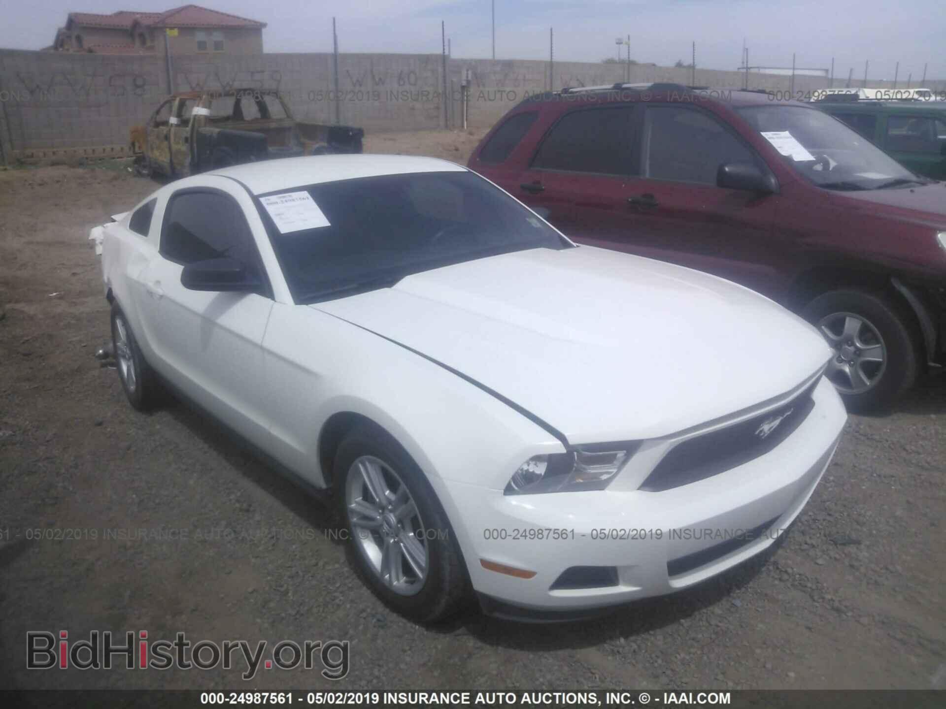 Photo 1ZVBP8AM5B5131898 - FORD MUSTANG 2011