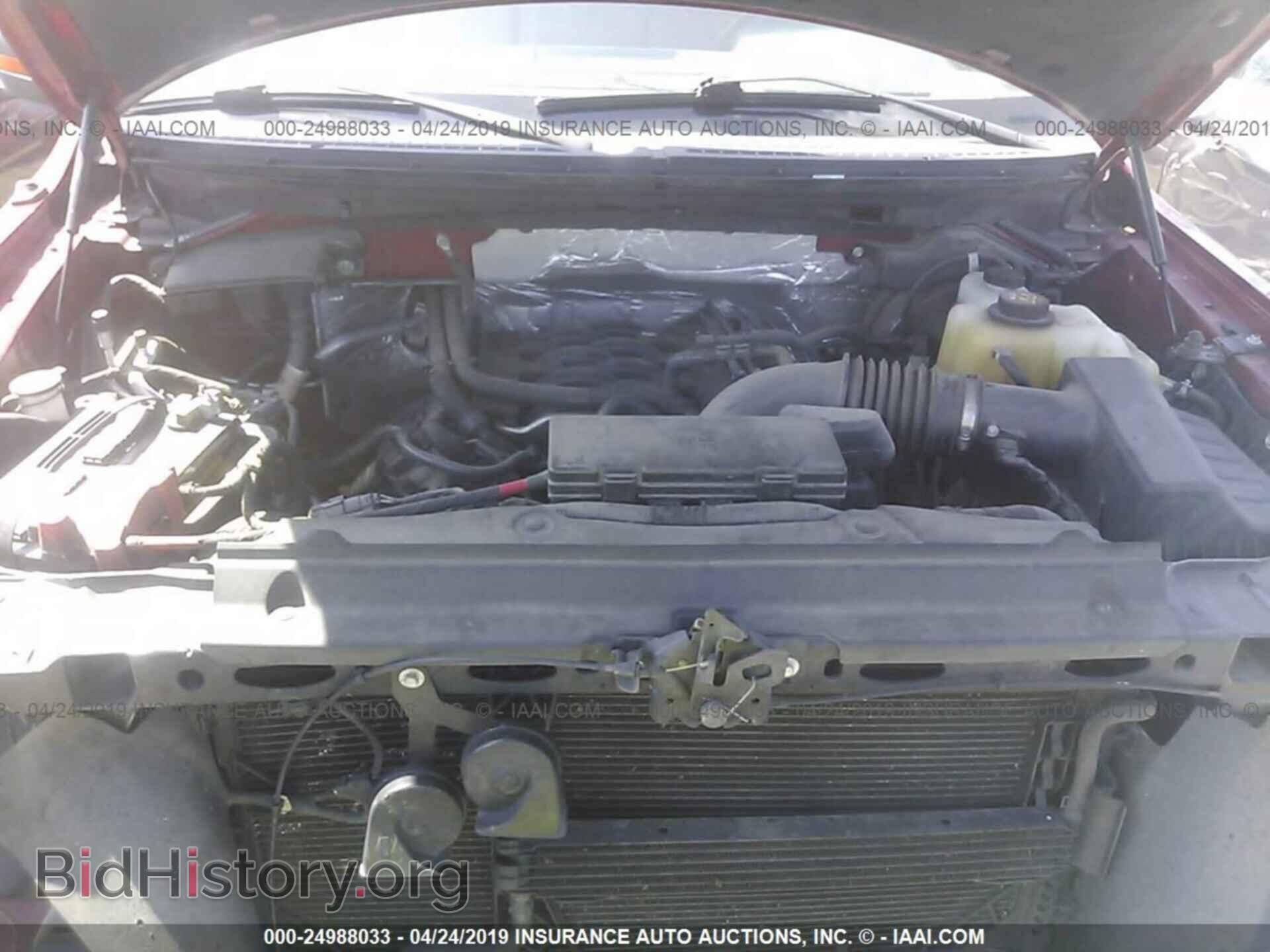 2011 FORD F150 - VIN: 1FTFW1EF5BFA99023 - Фото 10