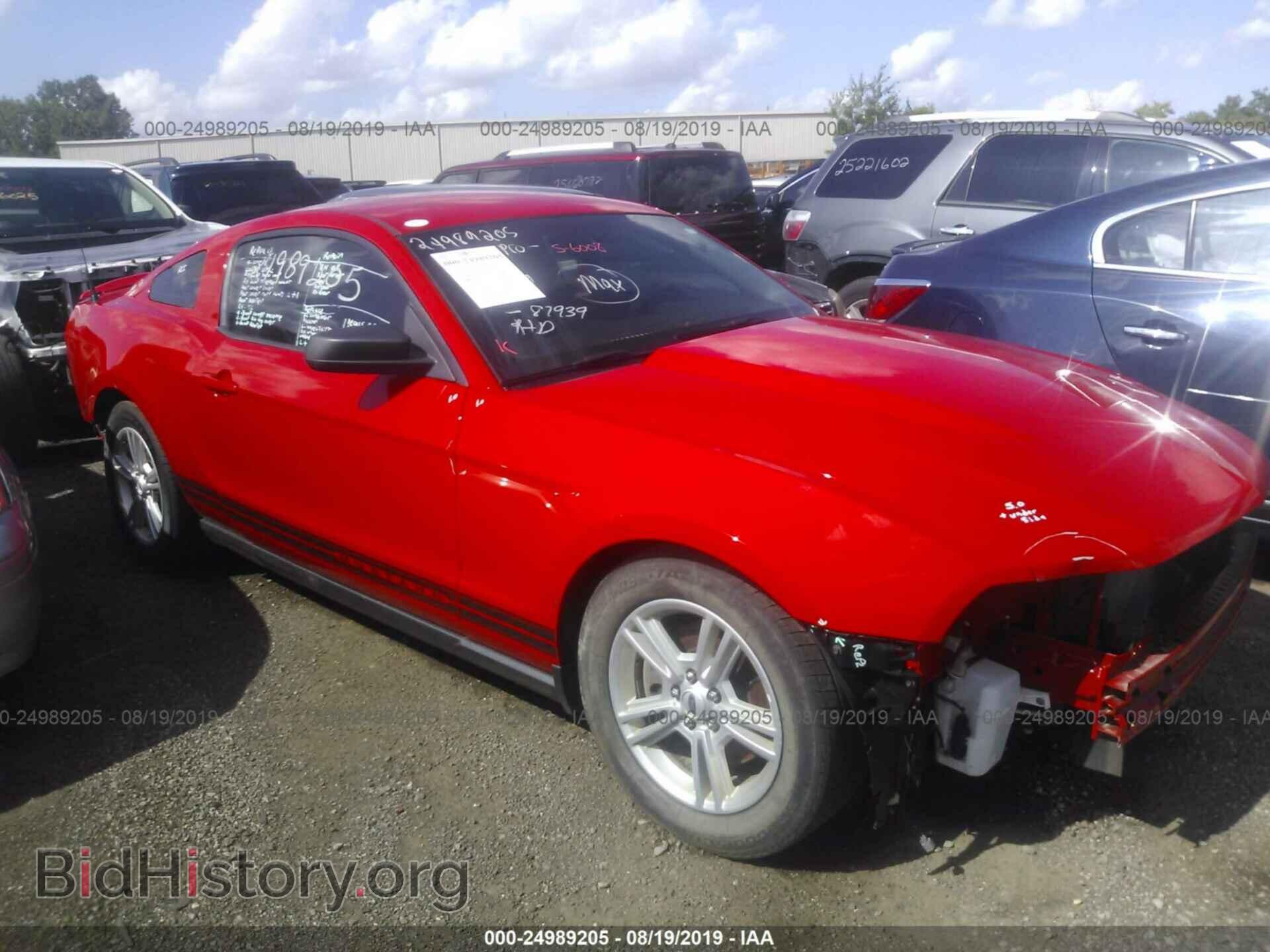 Фотография 1ZVBP8AM2C5278214 - FORD MUSTANG 2012