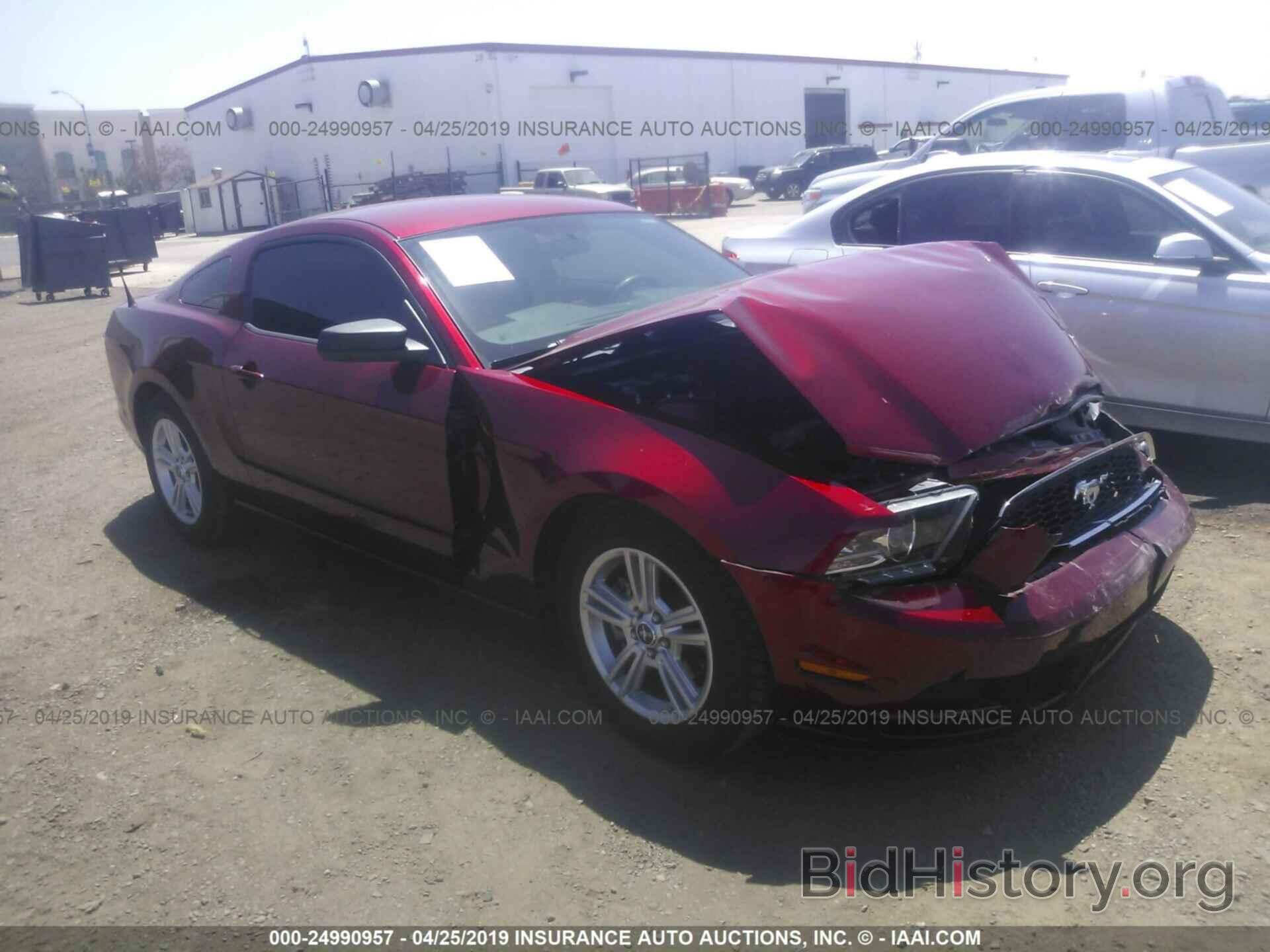 Photo 1ZVBP8AM6E5269518 - FORD MUSTANG 2014