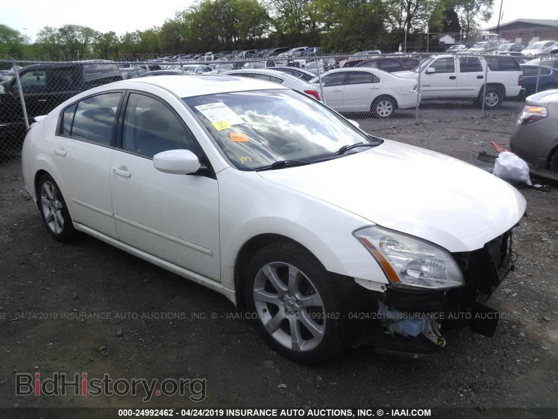Photo 1N4BA41E68C828495 - NISSAN MAXIMA 2008