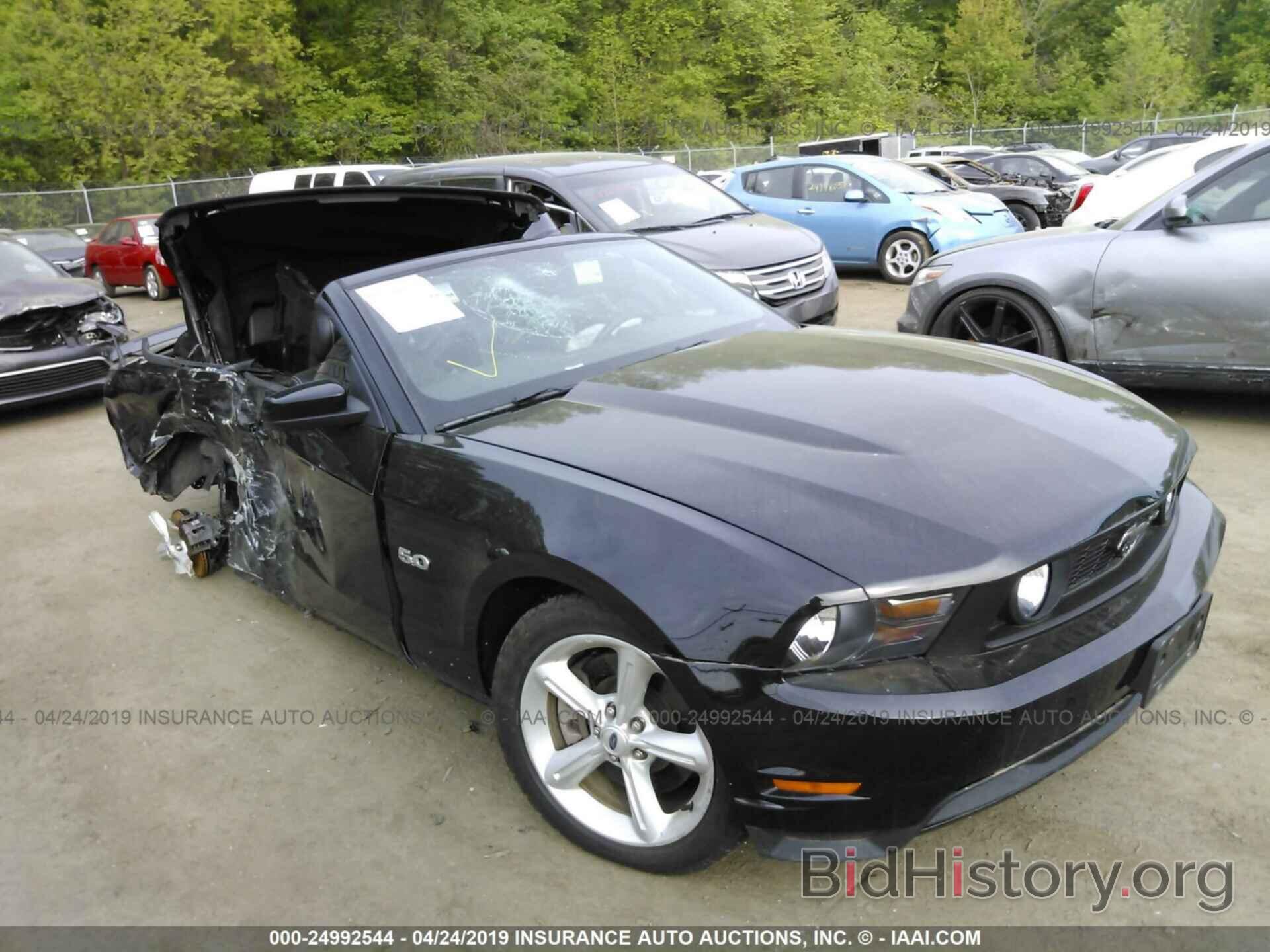 Photo 1ZVBP8FF5C5274846 - FORD MUSTANG 2012