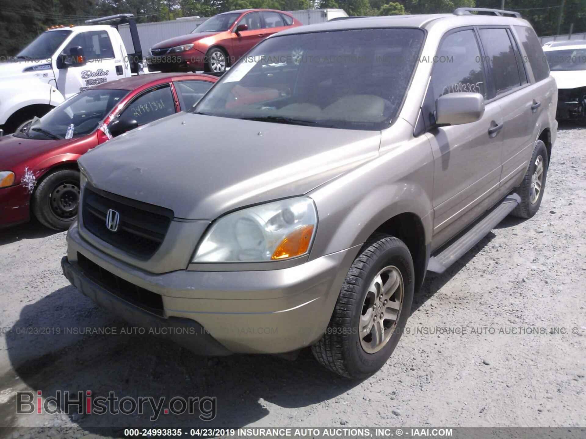 2005 HONDA PILOT - VIN: 5FNYF18505B056505 - Фото 2