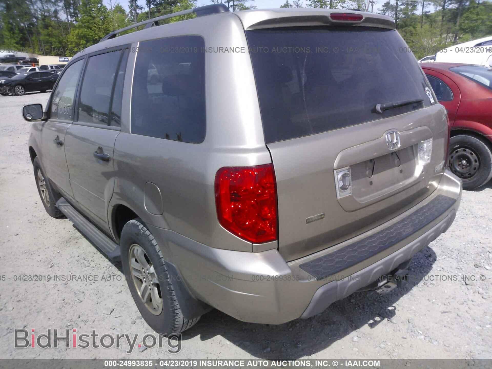 2005 HONDA PILOT - VIN: 5FNYF18505B056505 - Фото 3