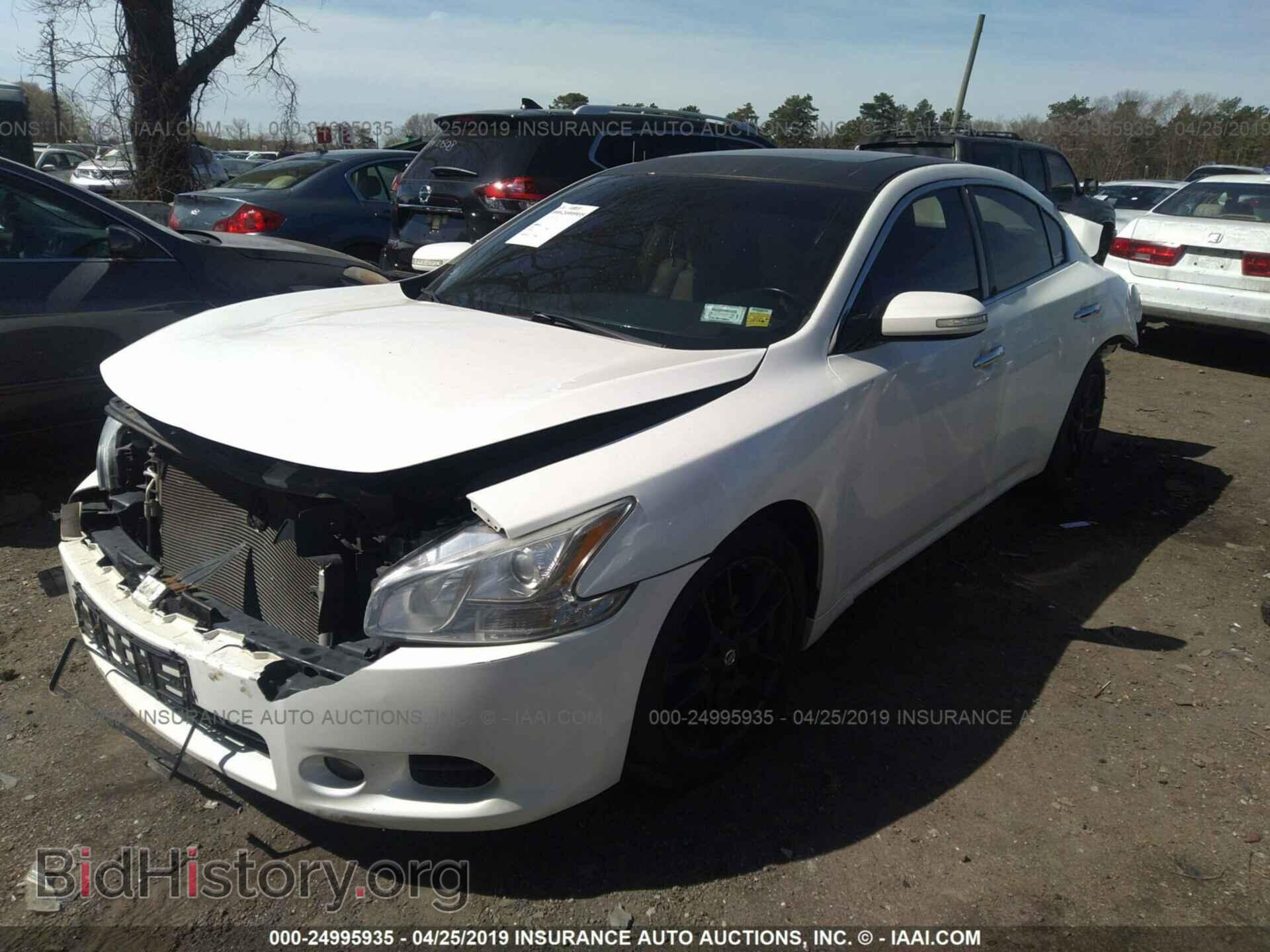 2009 NISSAN MAXIMA - VIN: 1N4AA51E59C844710 - Фото 2