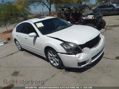 2008 Nissan MAXIMA SE/SL, белый — VIN 1N4BA41E98C823629, IAAI