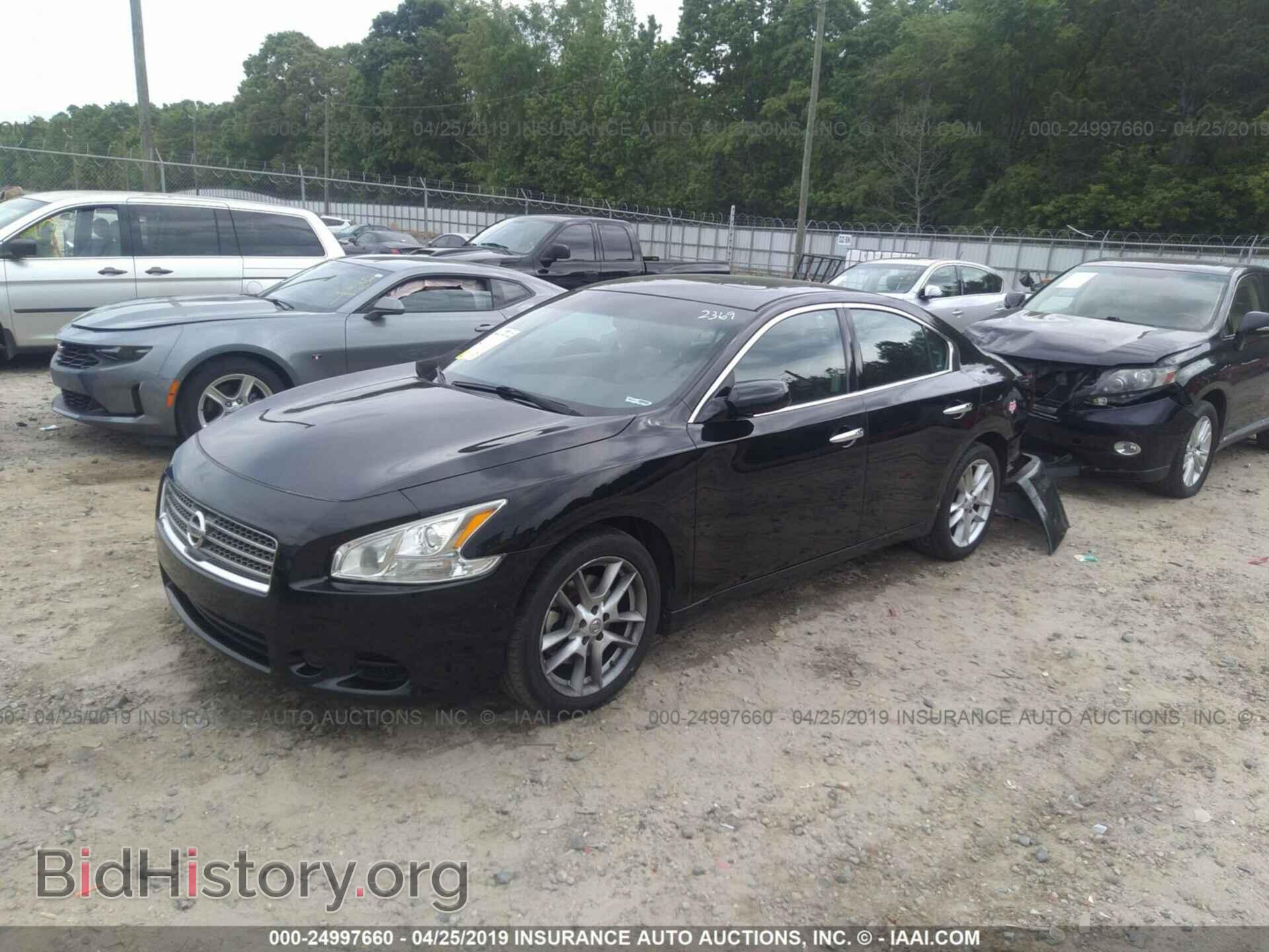 2009 NISSAN MAXIMA - VIN: 1N4AA51E19C842369 - Фото 2