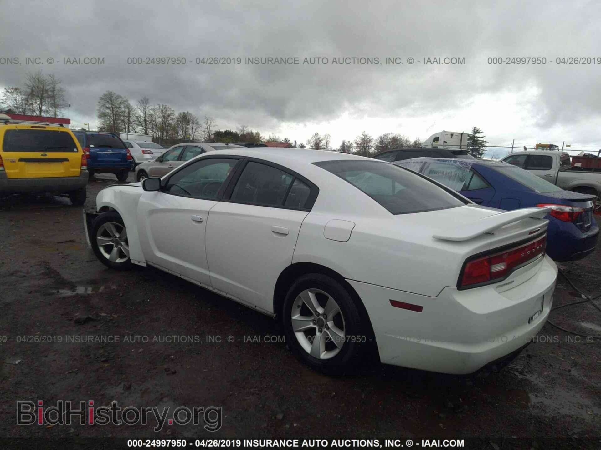 2011 DODGE CHARGER - VIN: 2B3CL3CG8BH545152 - Фото 3
