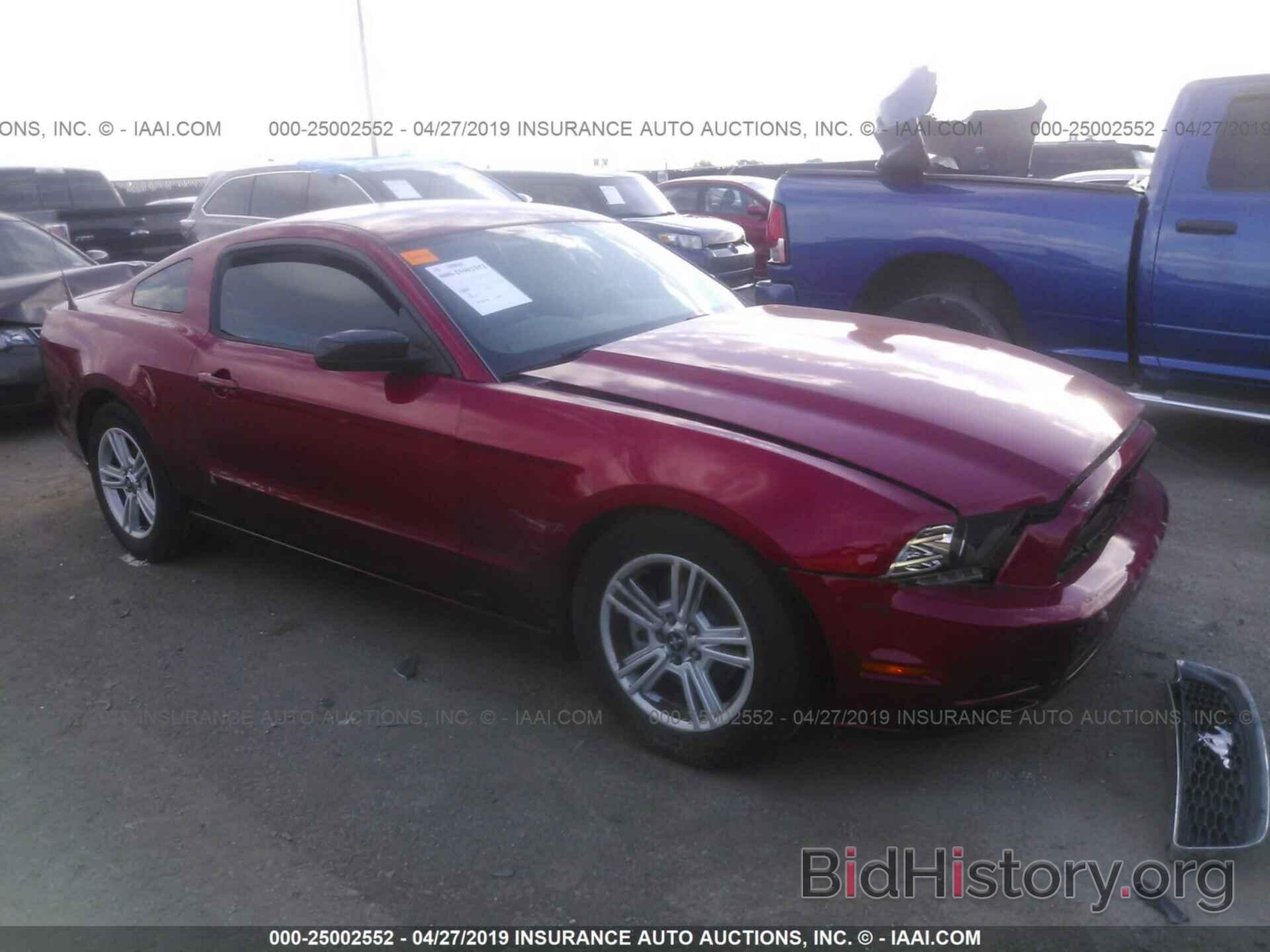 Photo 1ZVBP8AM4D5259004 - FORD MUSTANG 2013