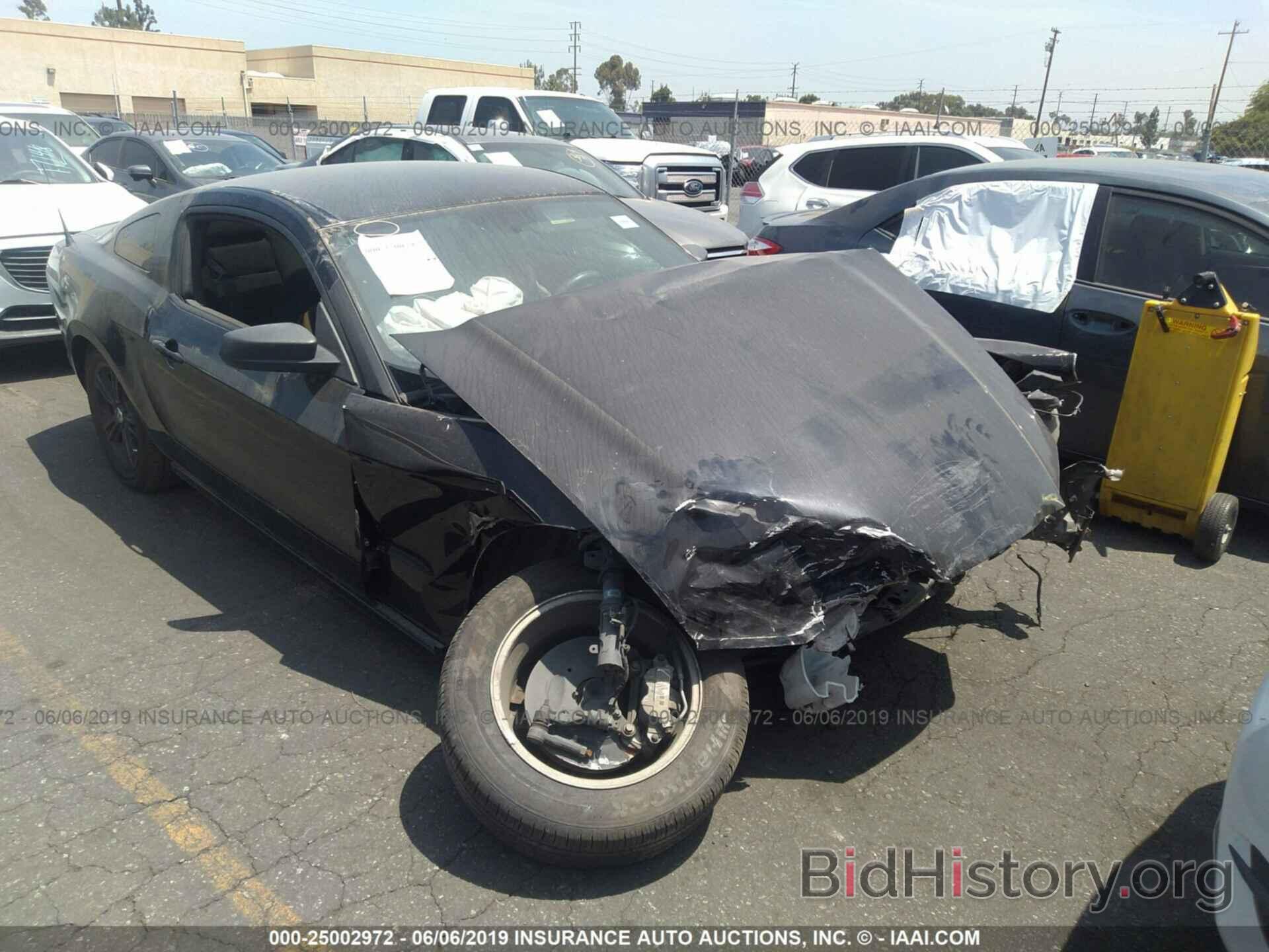 Photo 1ZVBP8AM8E5320131 - FORD MUSTANG 2014