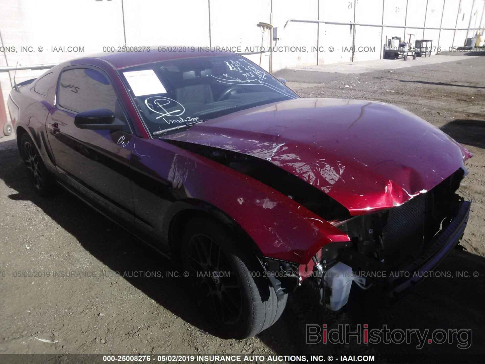 Photo 1ZVBP8AM1E5253498 - FORD MUSTANG 2014