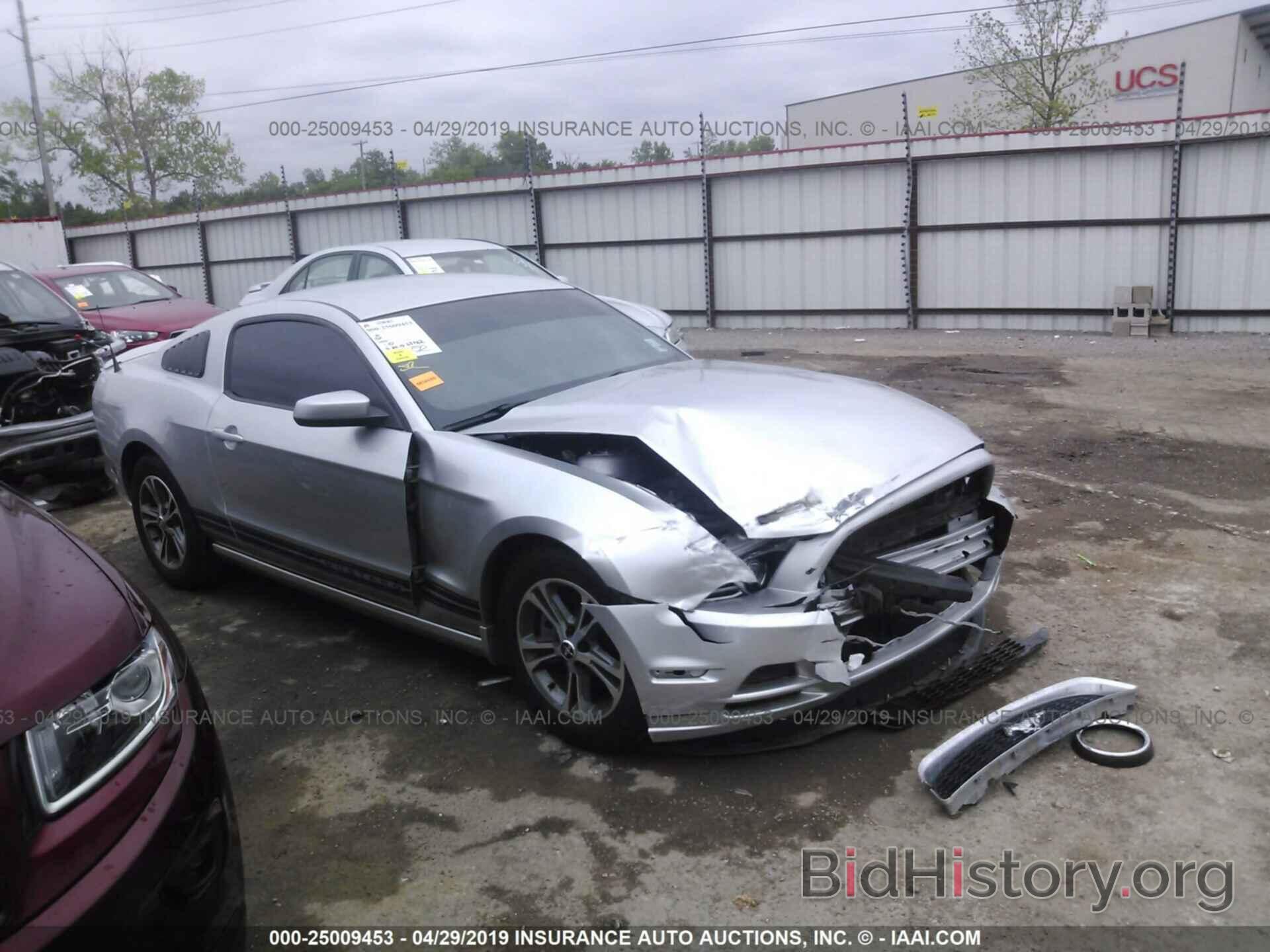 Photo 1ZVBP8AM0D5243432 - FORD MUSTANG 2013
