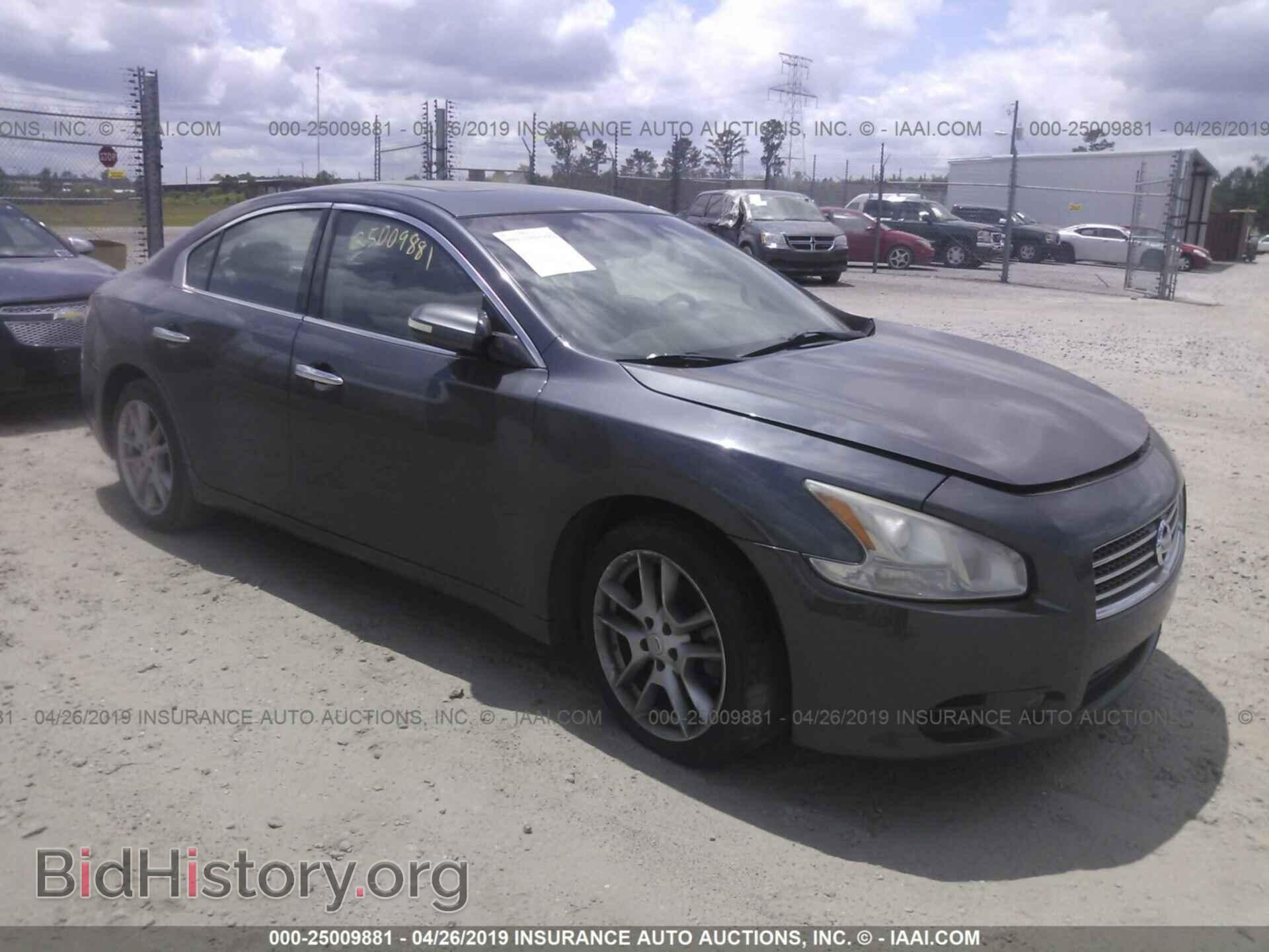 Photo 1N4AA5AP0BC807930 - NISSAN MAXIMA 2011