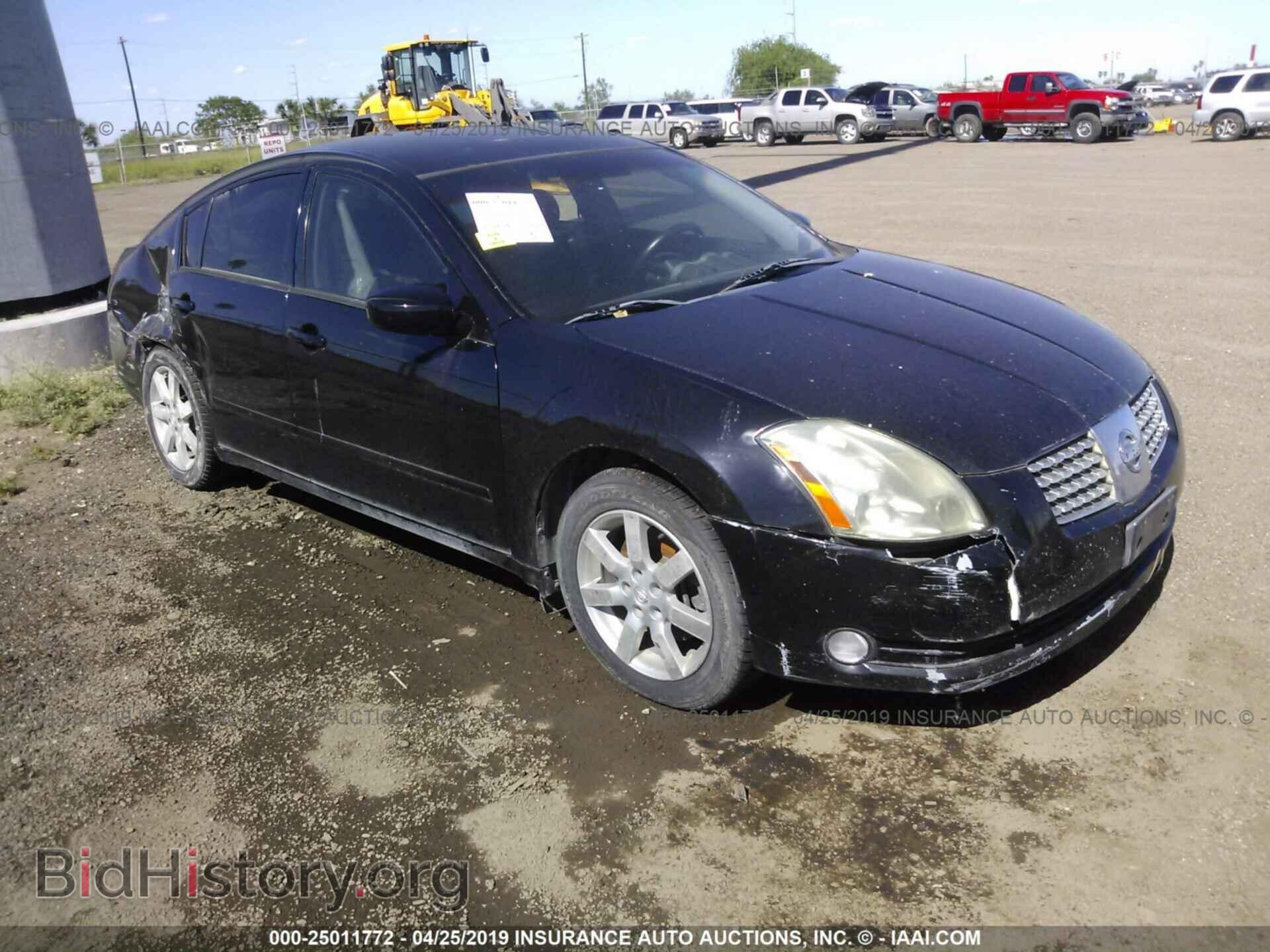 Photo 1N4BA41E46C839346 - NISSAN MAXIMA 2006
