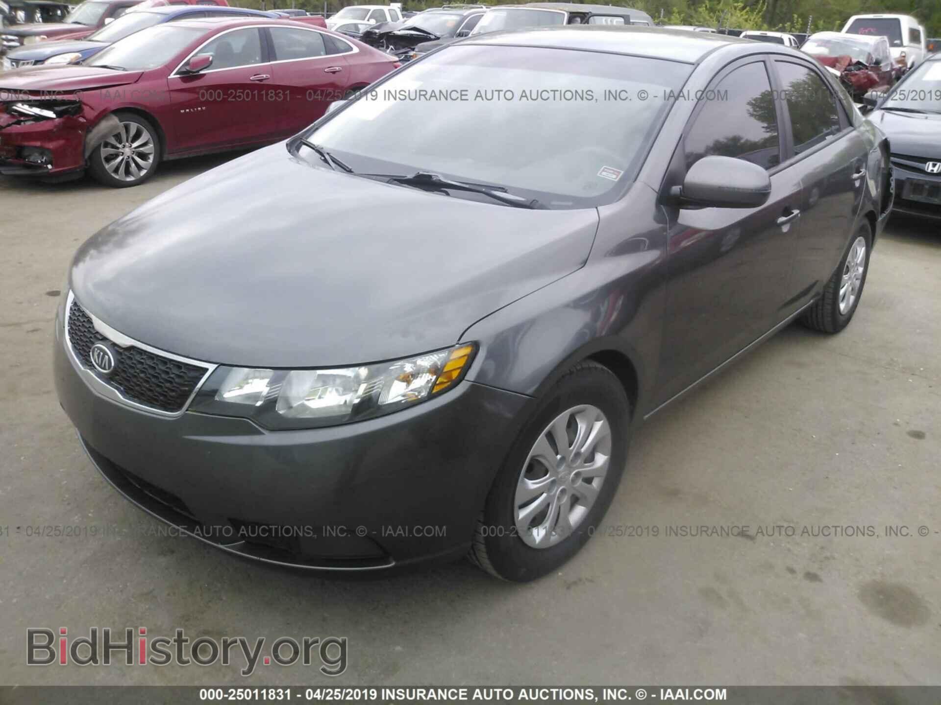 2013 KIA FORTE - VIN: KNAFU4A23D5736734 - Фото 2