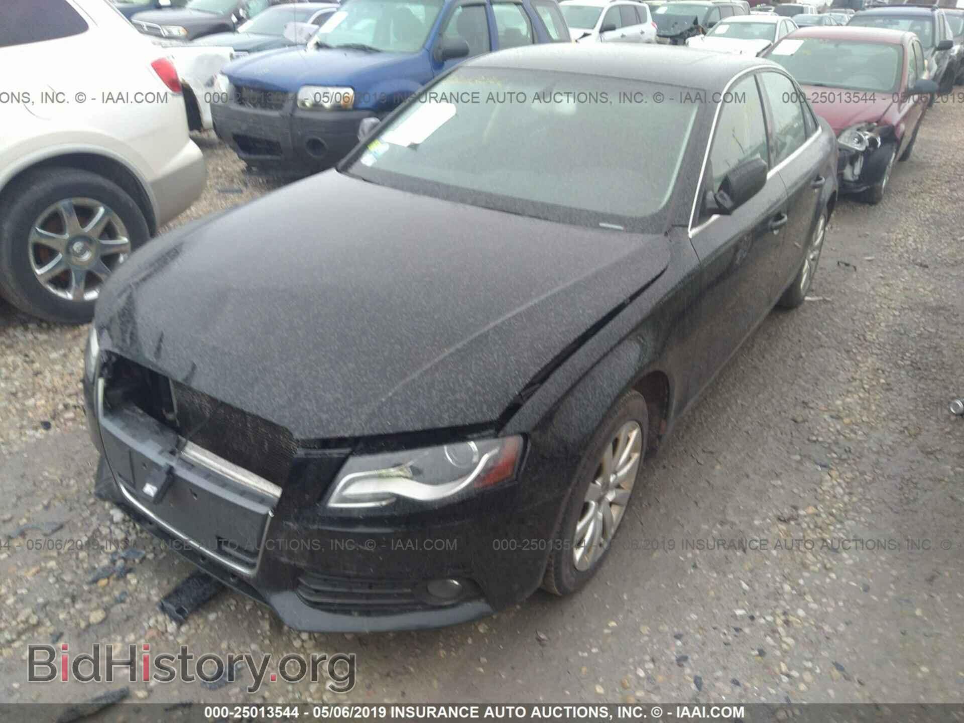 2010 AUDI A4 - VIN: WAUFFAFL6AN012462 - Фото 2