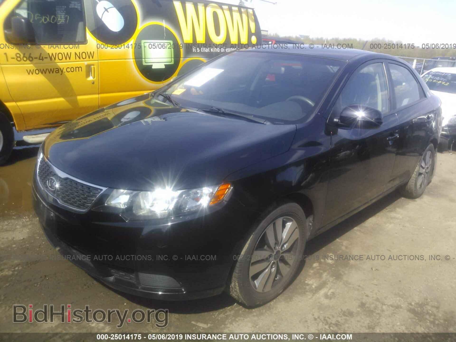 2013 KIA FORTE - VIN: KNAFU4A20D5704291 - Фото 2