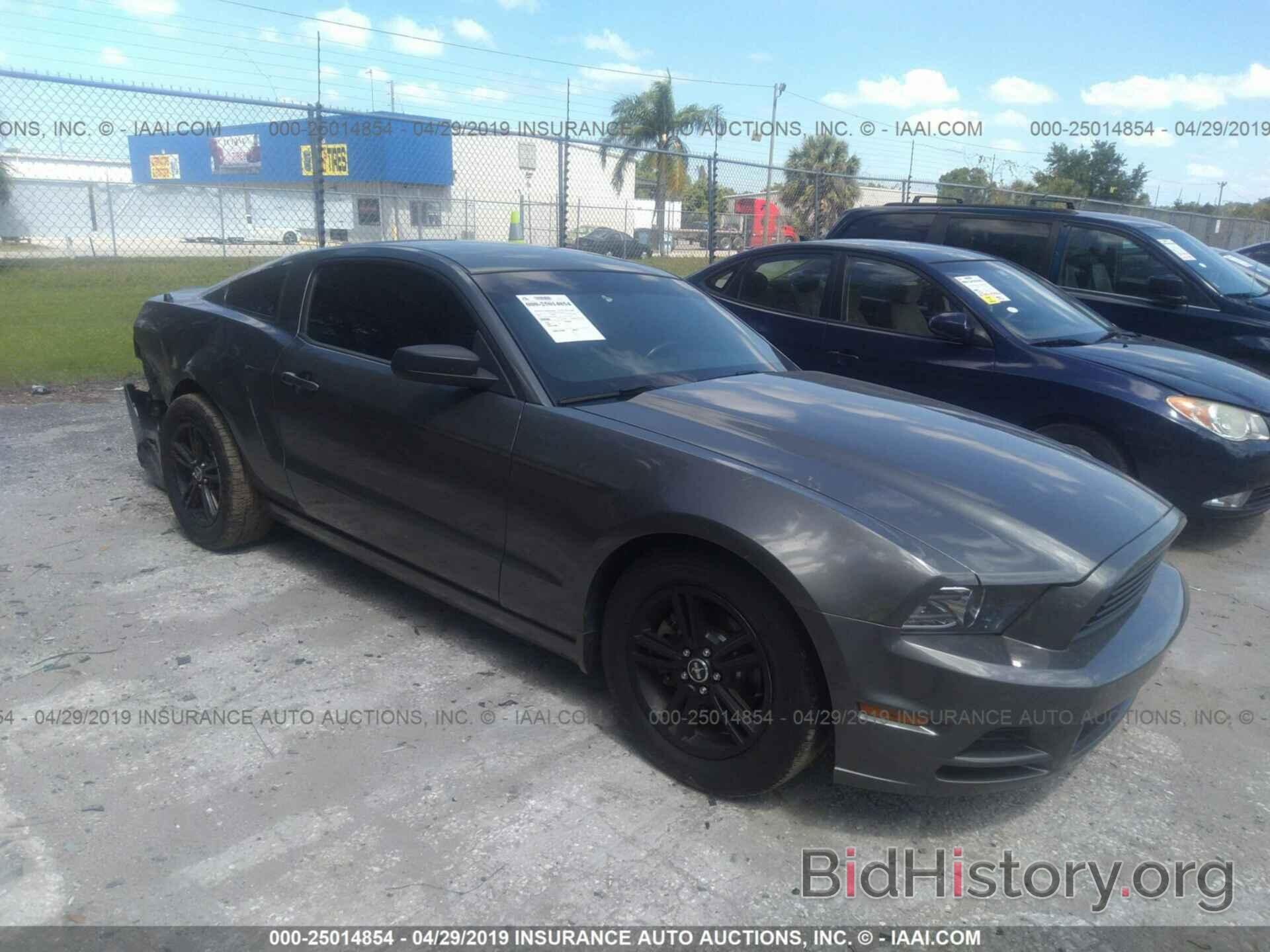 Photo 1ZVBP8AM9D5272041 - FORD MUSTANG 2013