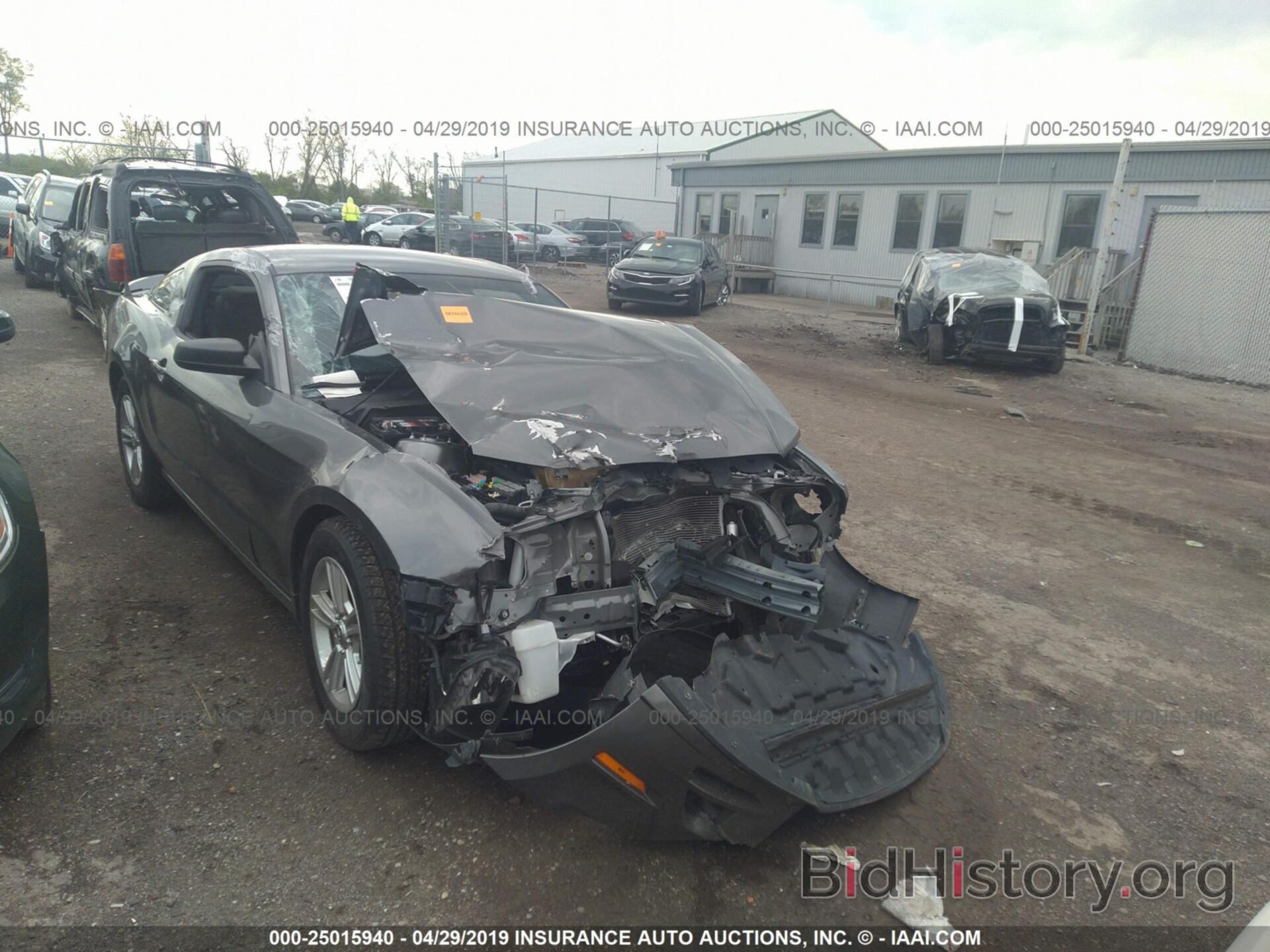 Photo 1ZVBP8AM5E5325044 - FORD MUSTANG 2014