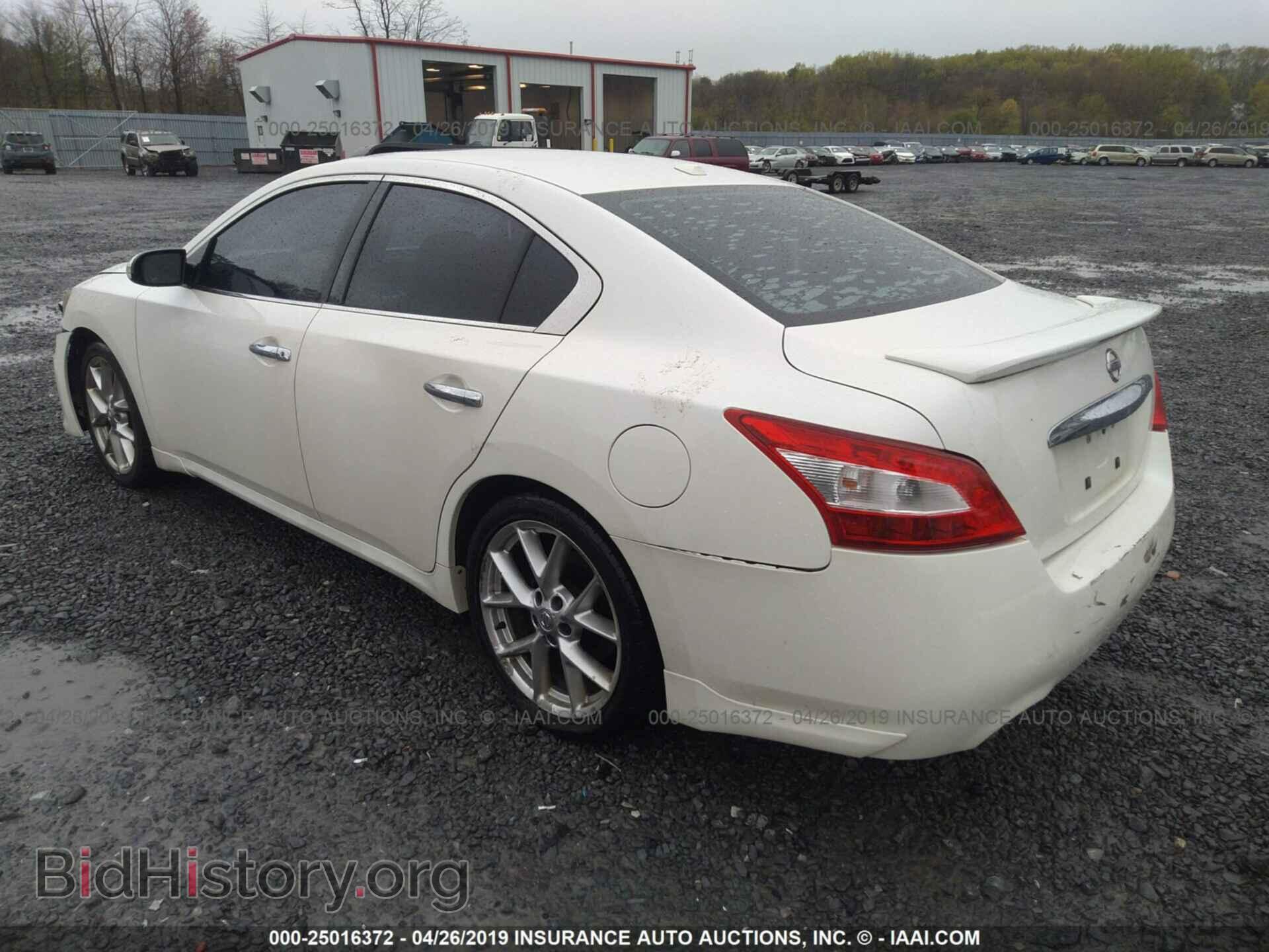 2010 NISSAN MAXIMA - VIN: 1N4AA5AP1AC806235 - Фото 3